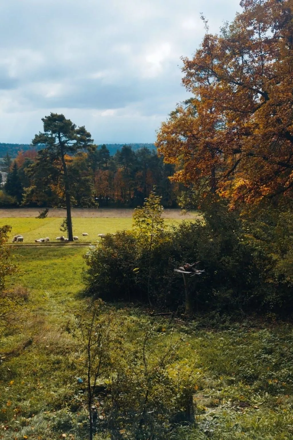 Waldhaus auf Randen-Outside