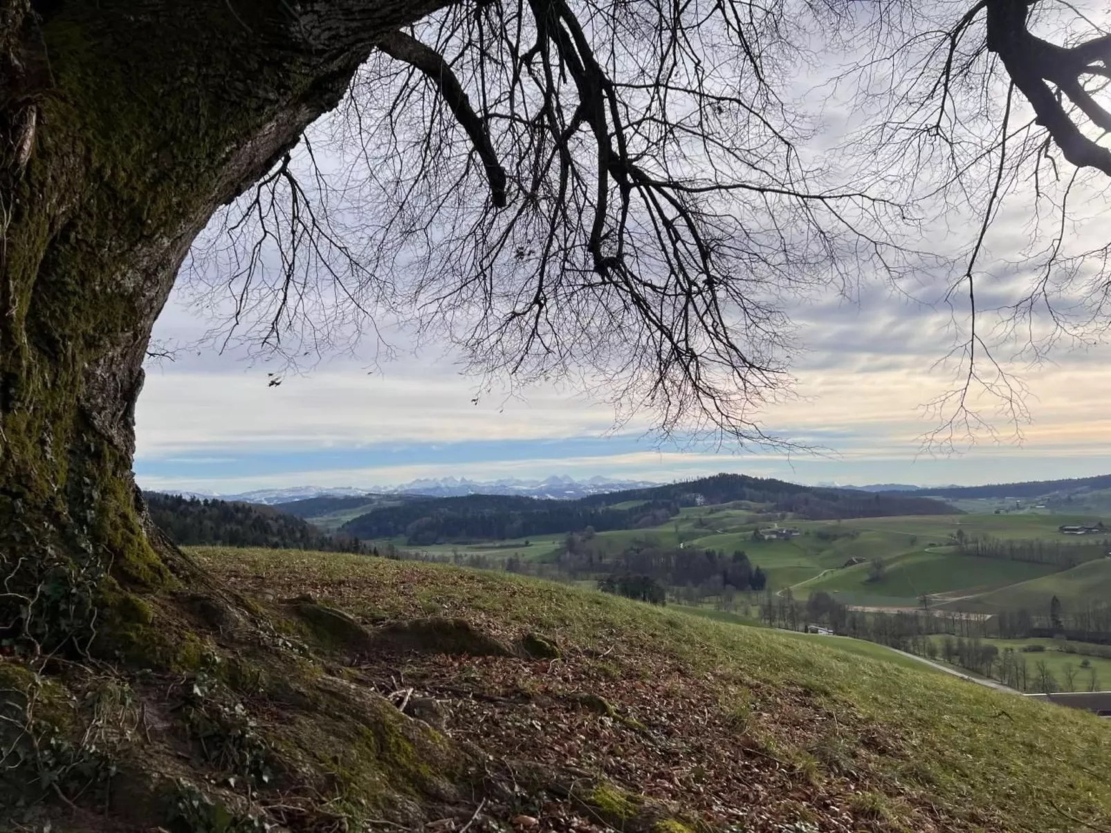 Berghof Erlebnis - Event-Location auf dem Land-Outside