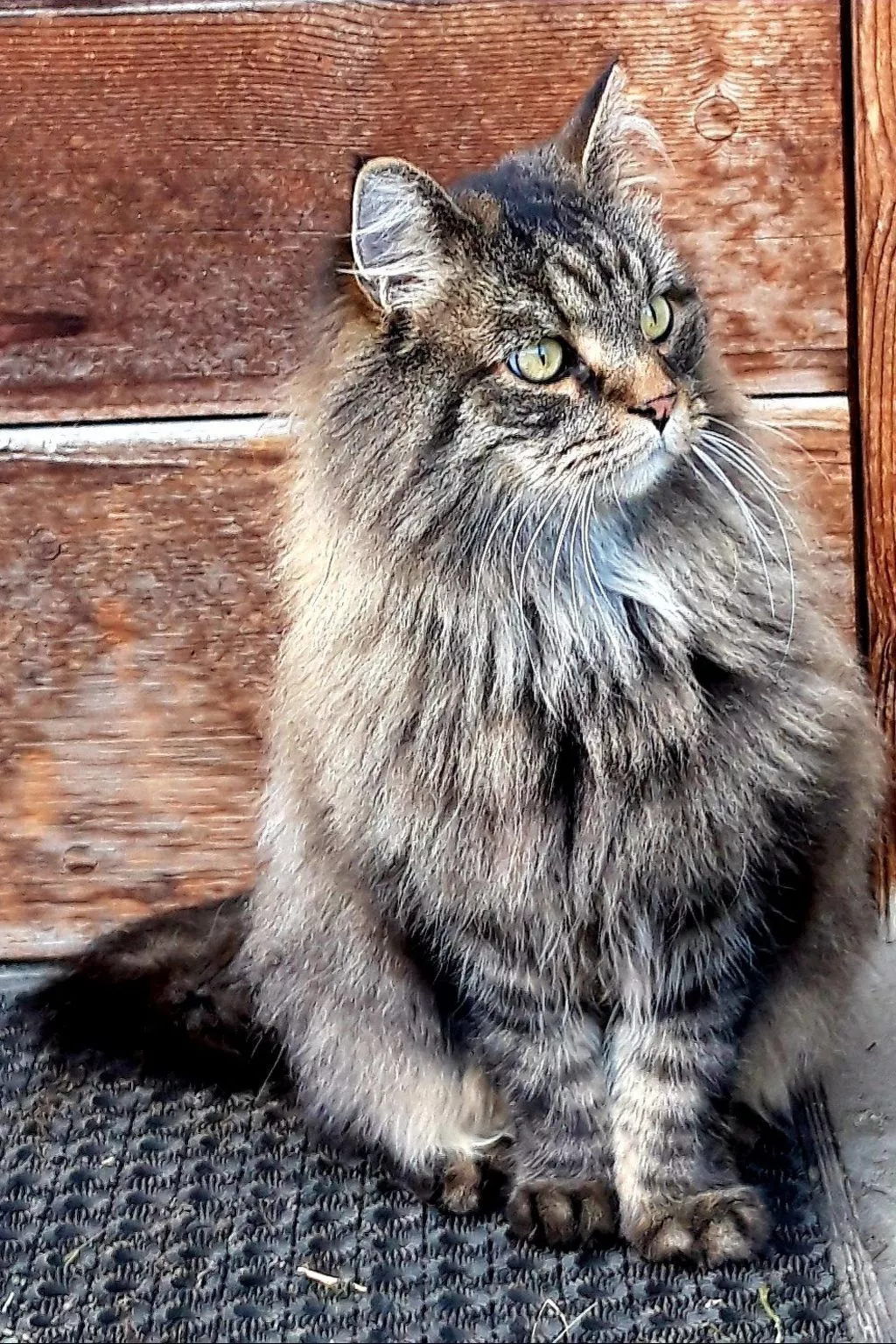 Hof Gross Gada-Dehors