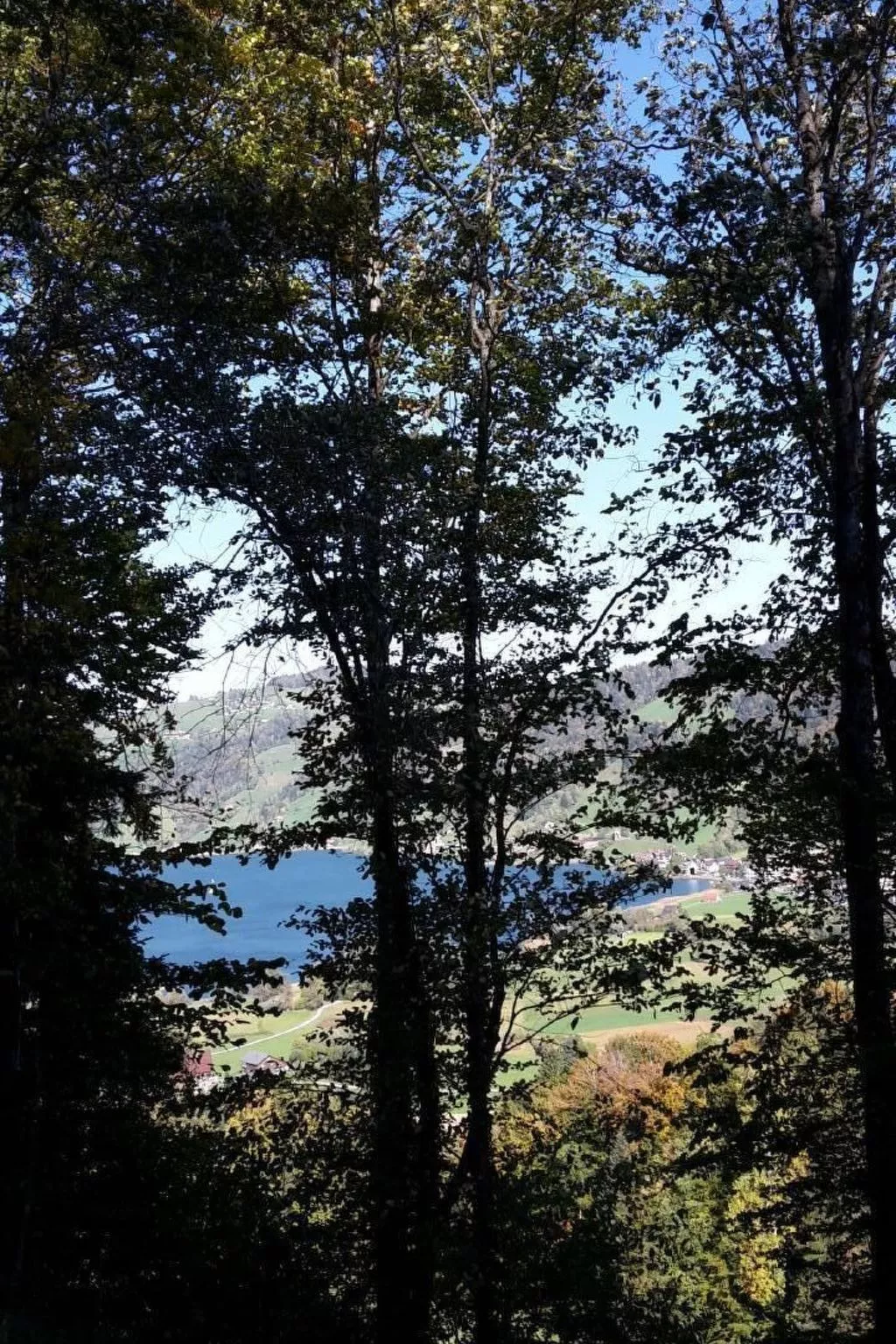 Fruehalp-Image-tags.info