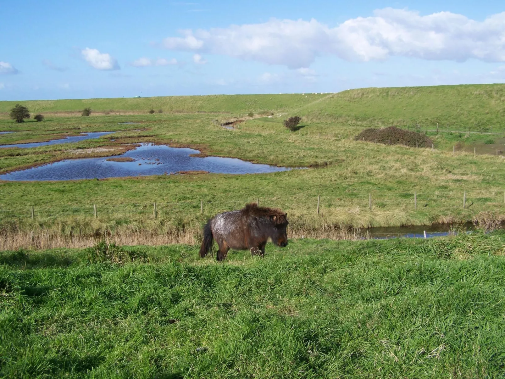 Gemütliches Haus mit komplett umzäuntem Garten-Outside