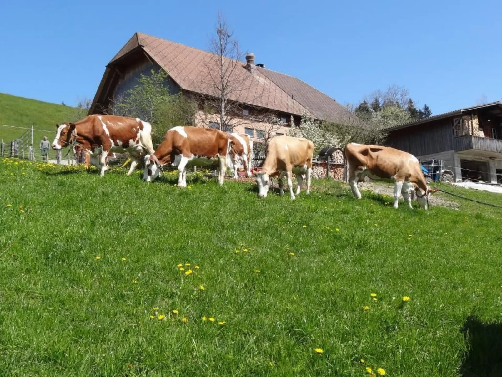 Bauernhof Gerber-Draußen