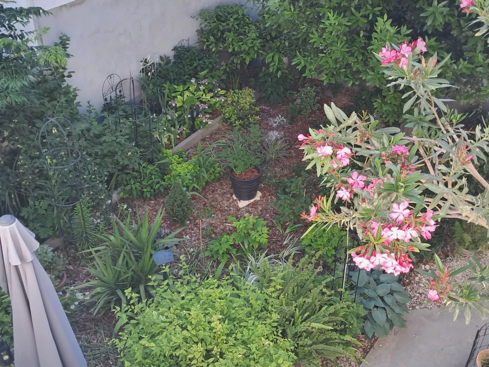 Wohnung "Sibenik centar"-Image-tags.info