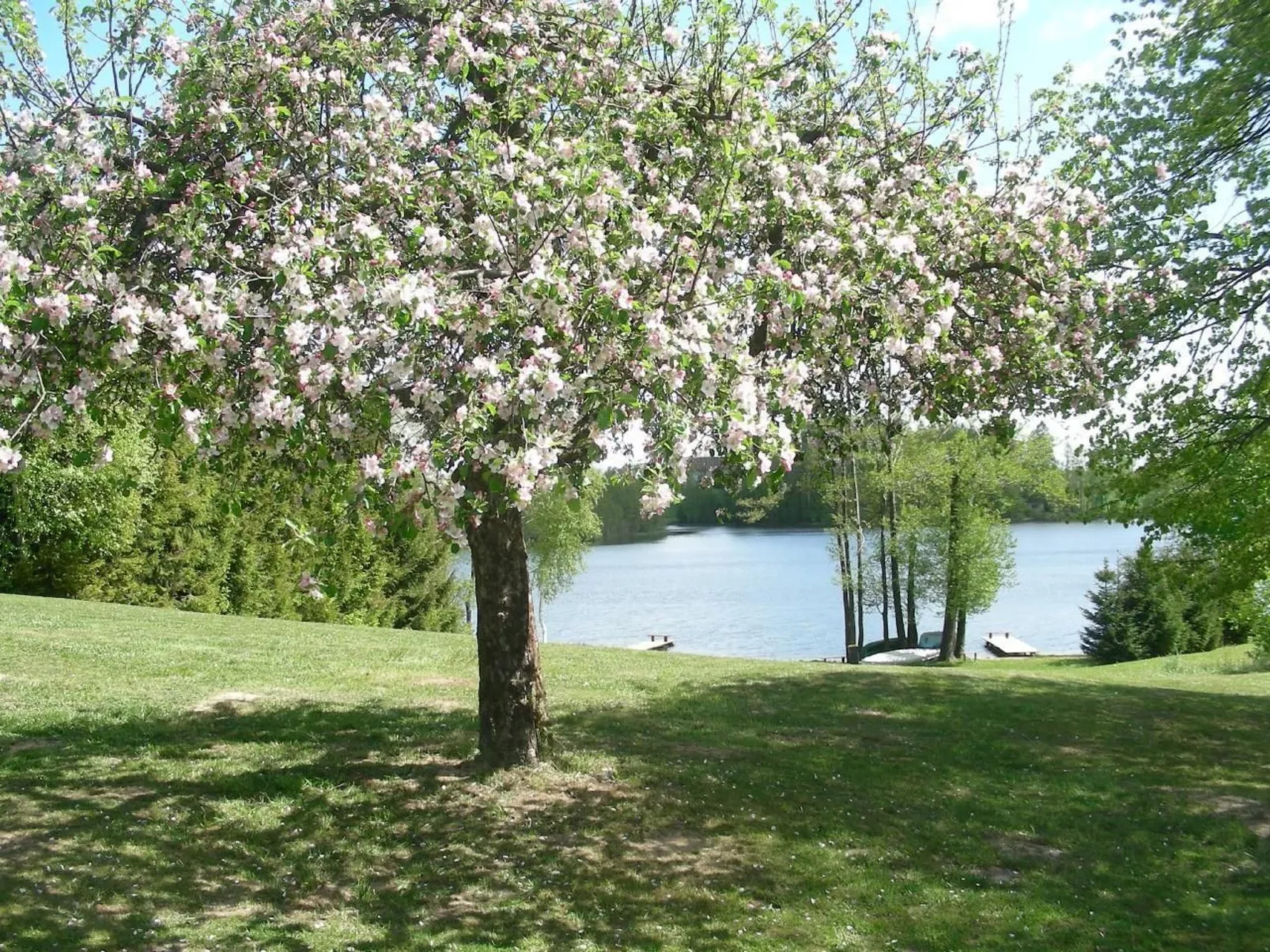 Mit Wasserblick-Outside