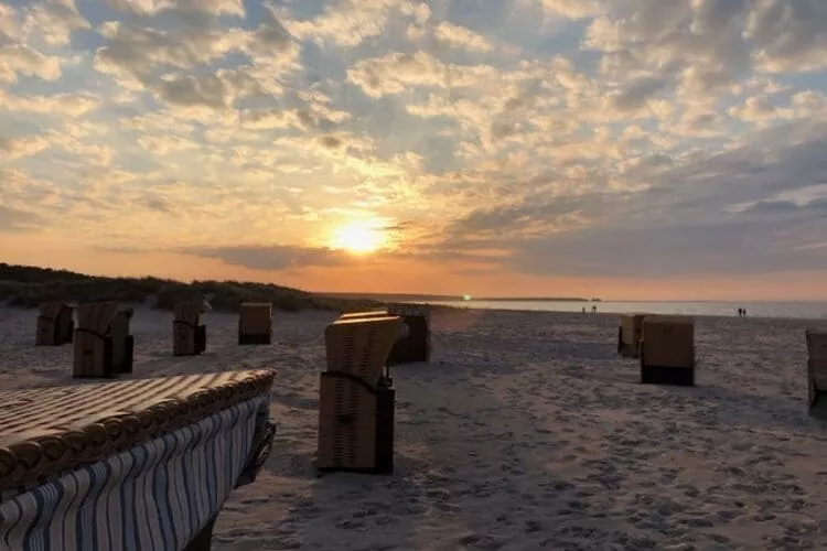 Doppelhaushälfte Lee in Zingst-Areas summer 20km