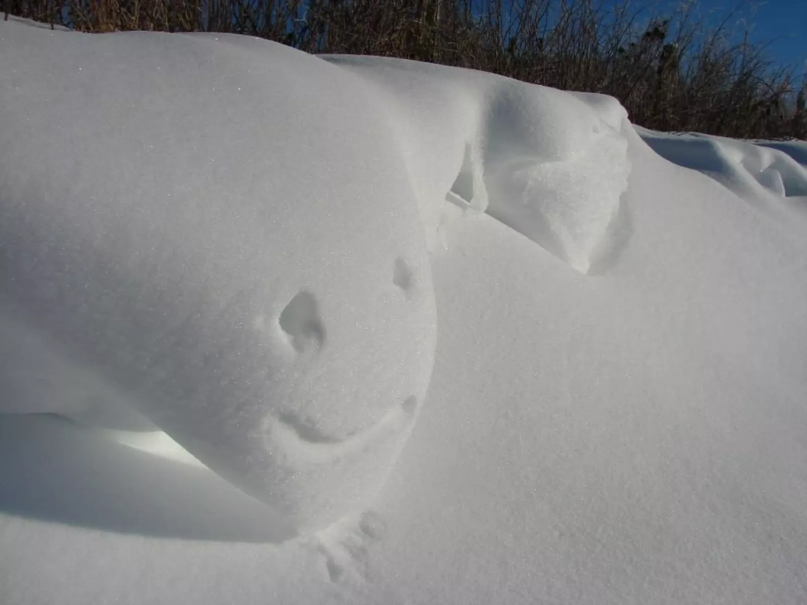 Snowview Lodge-Draußen