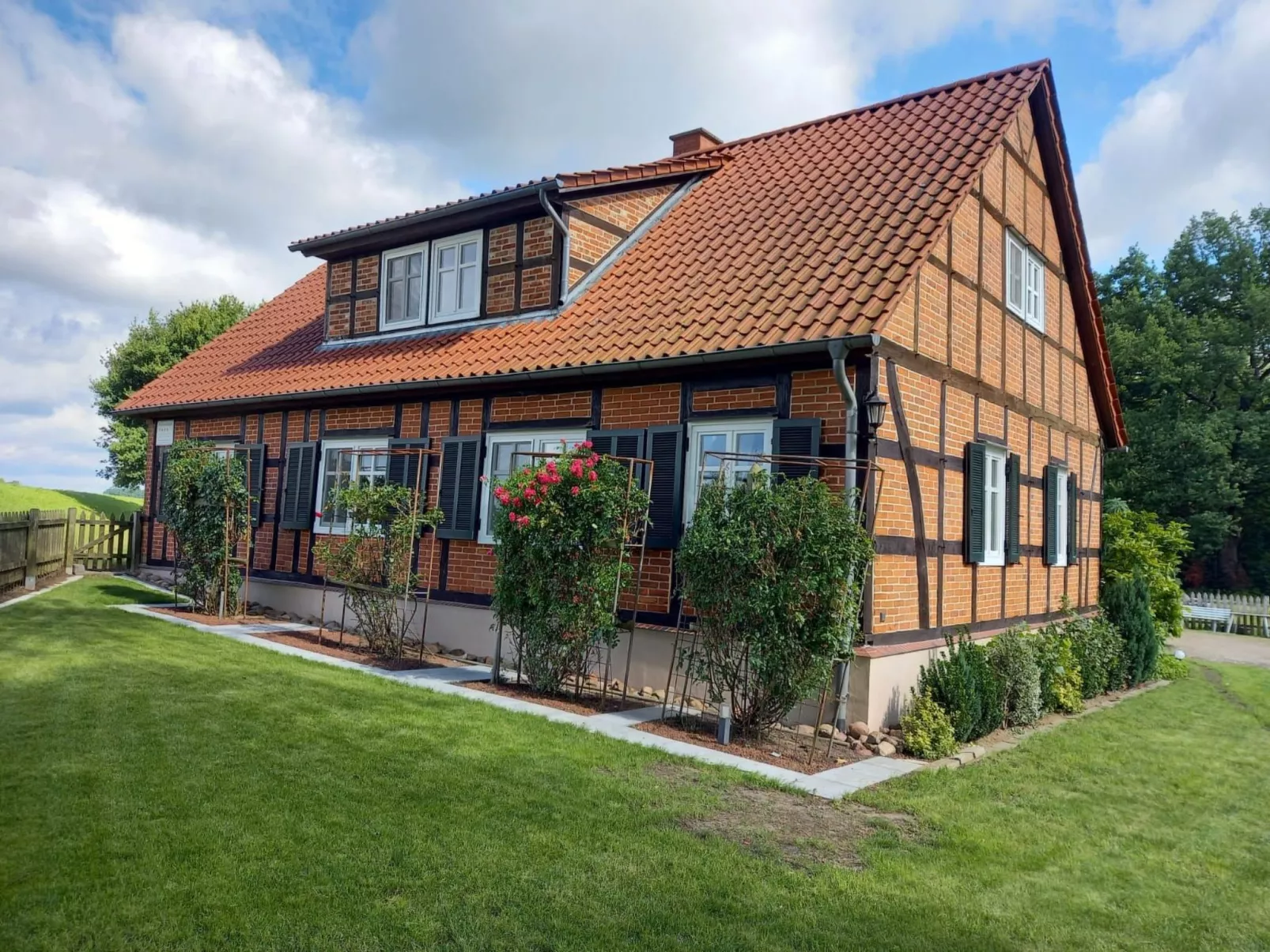 Haus Elbrose inmitten von Rosen mit Elbdeichzugang-Dehors