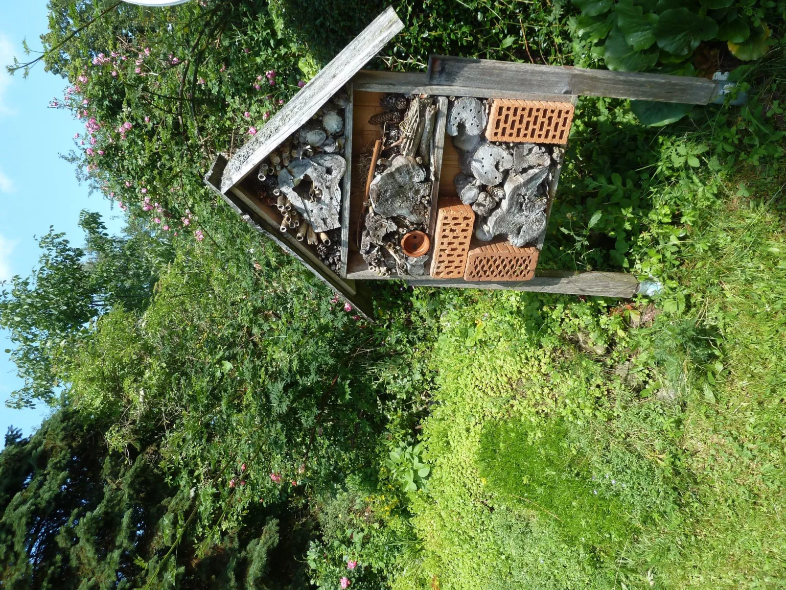 Landhaus Wildfeuer-Outside