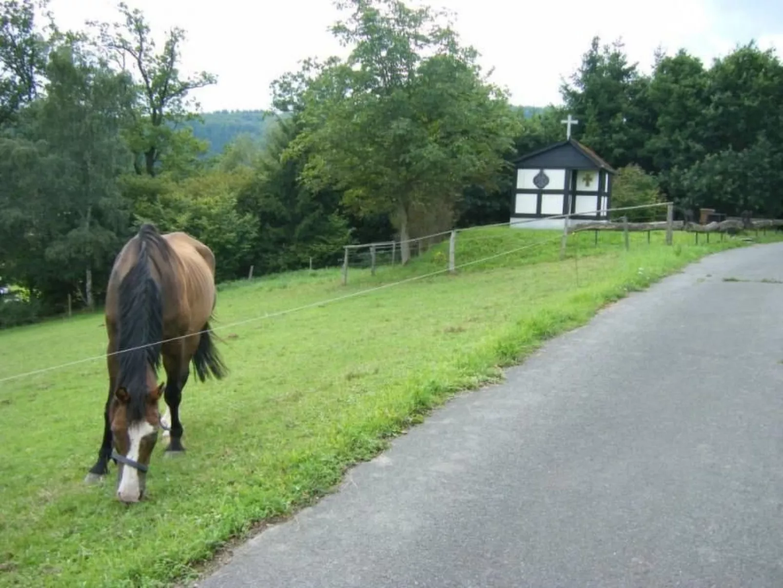 Rübezahl am Diemelse-Dehors