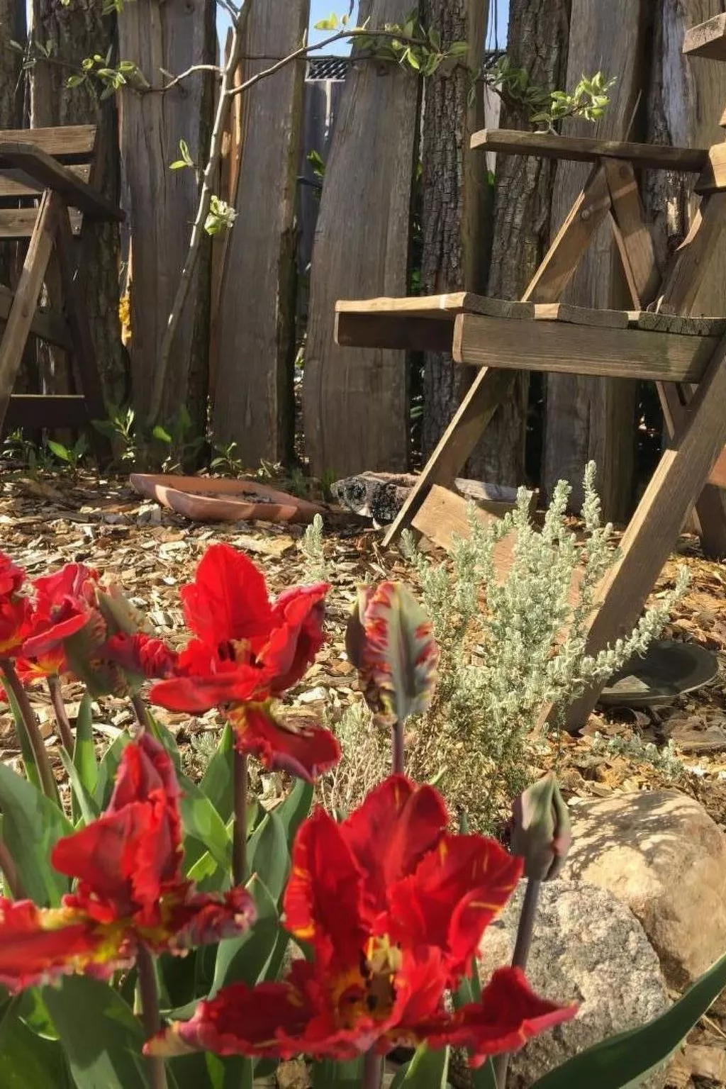 Ruhige Wohnung in Risum mit Garten und Terrasse-Image-tags.info