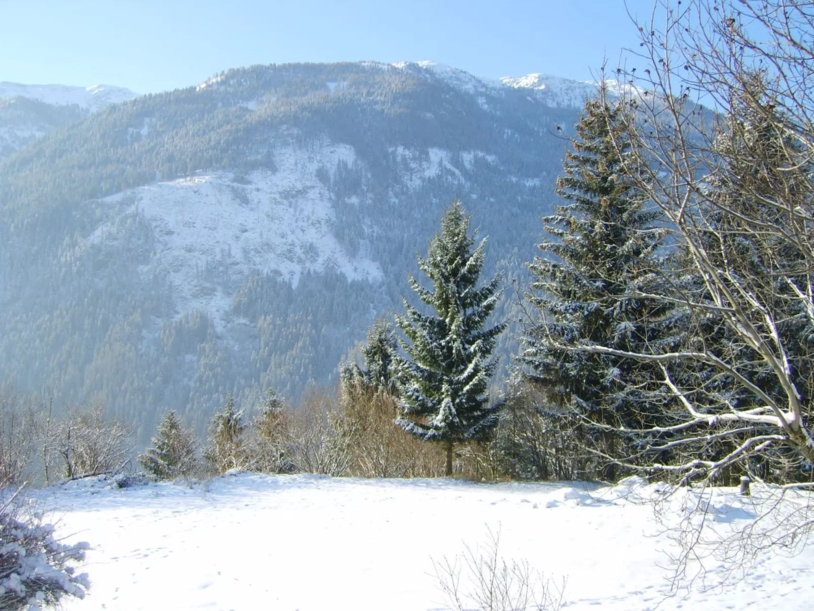 Ruhige Ferienwohnung in Feld am See-Outside