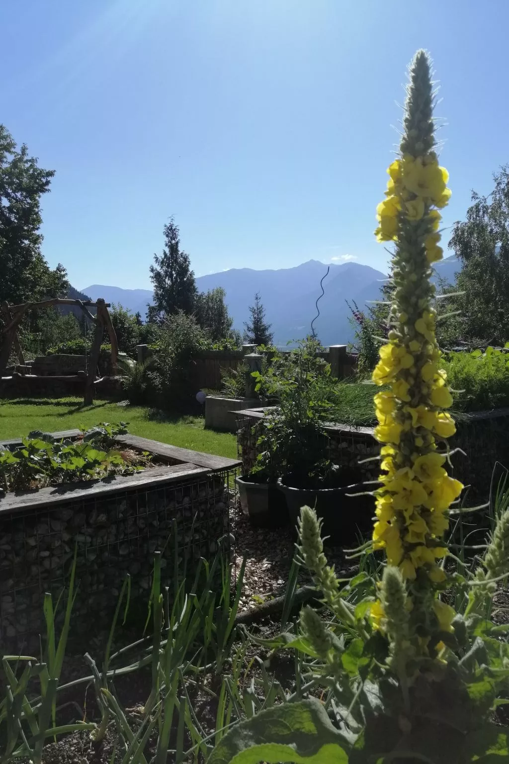 Waldpension Ranner-Draußen