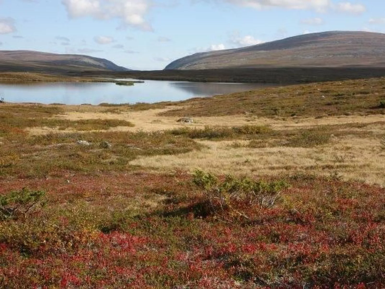 Charmantes Blockhaus, Sauna und Kamin-Outside