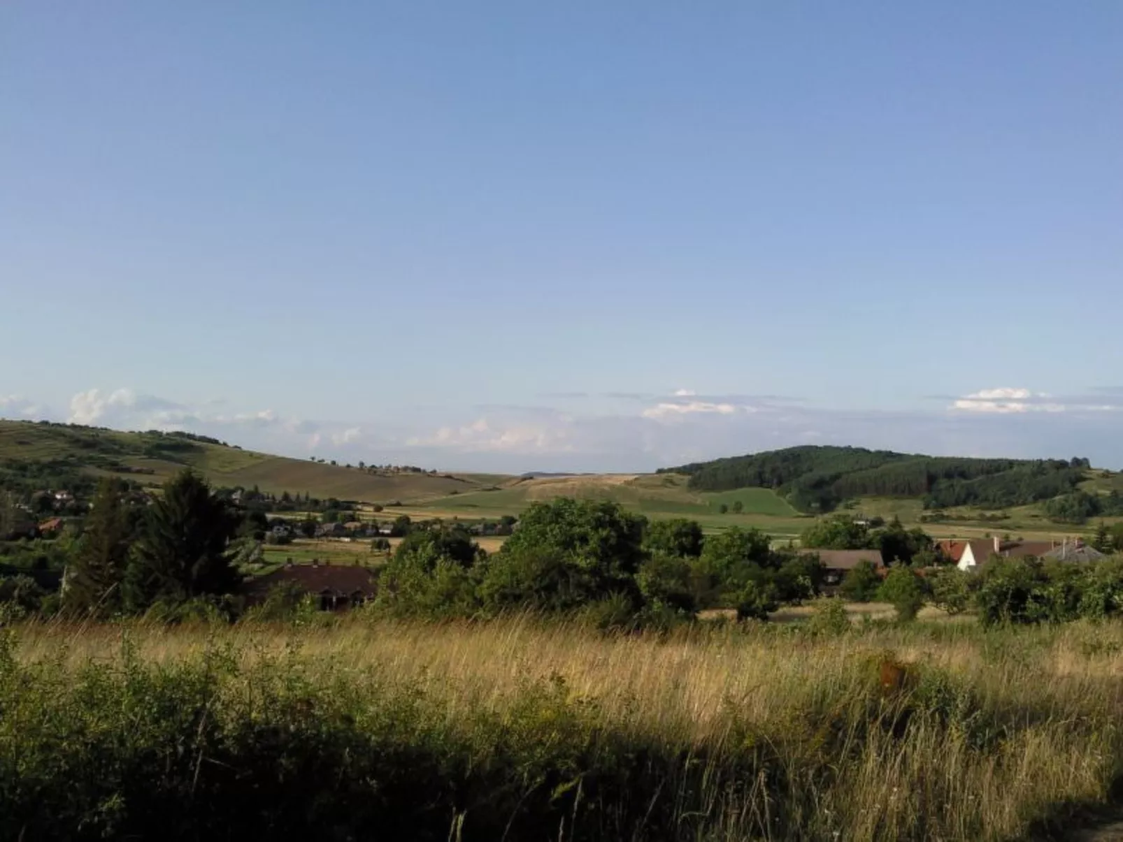 Mit biologischem Schwimmteich-Dehors