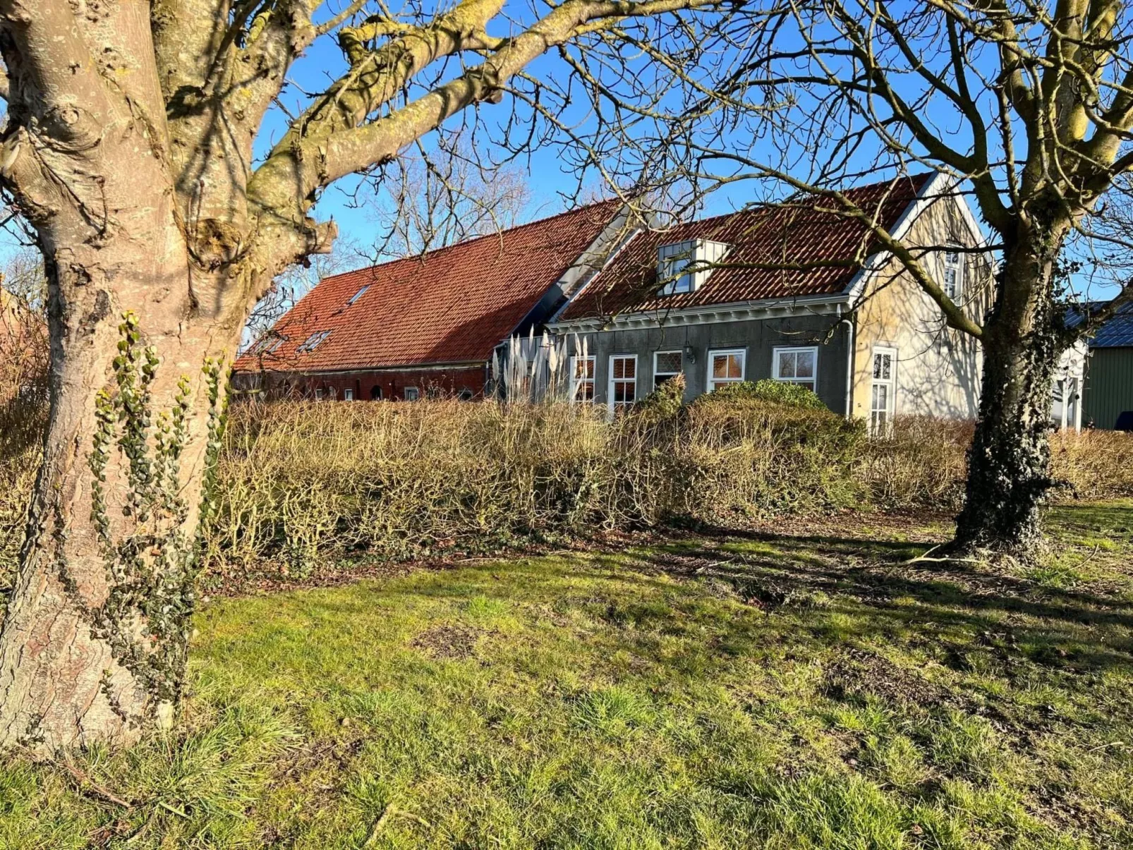 Luxus-App in der Scheune "Strandje groote Nol"-Draußen