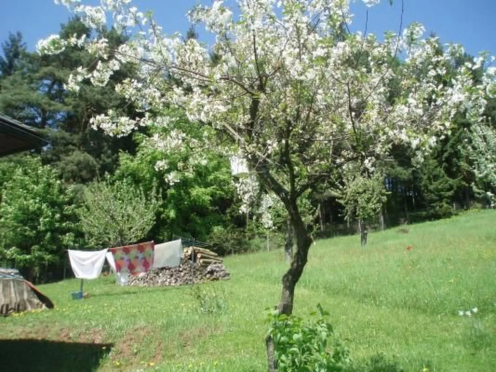 Villa "Na Hora" mit Garten, Grill und Terrasse-Outside