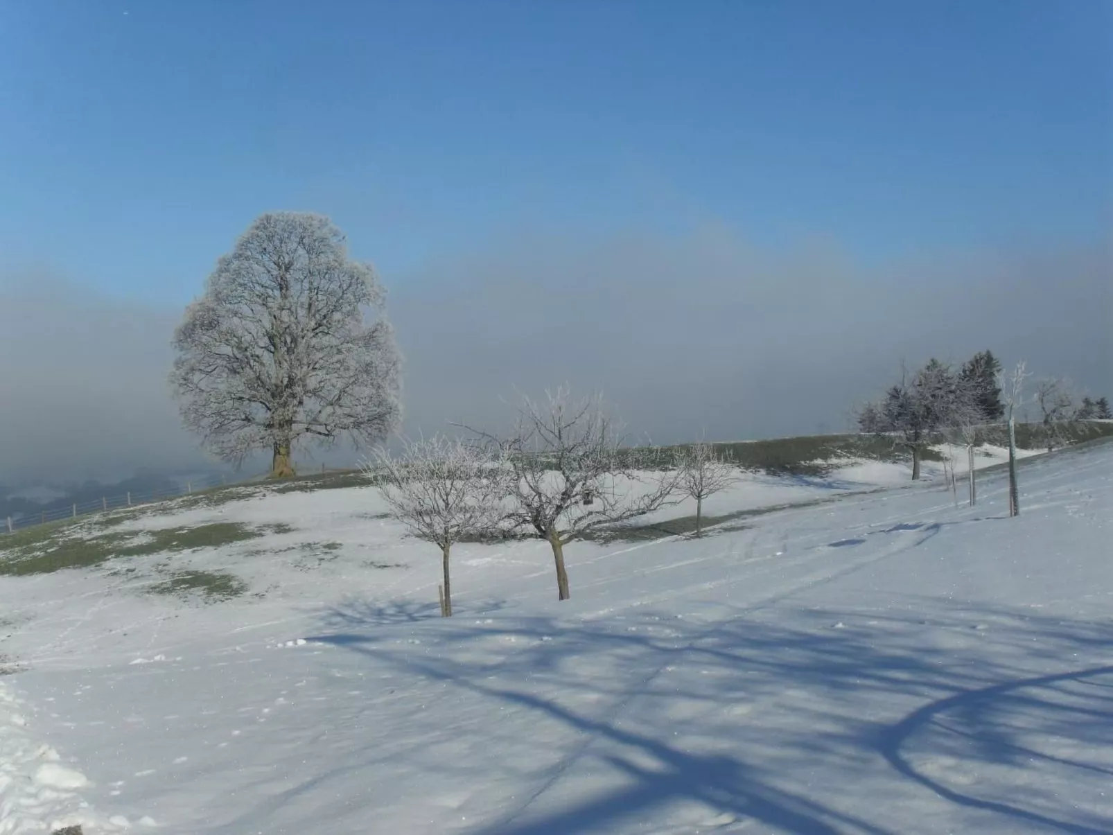 Ferienhof-Barenegg-Image-tags.info