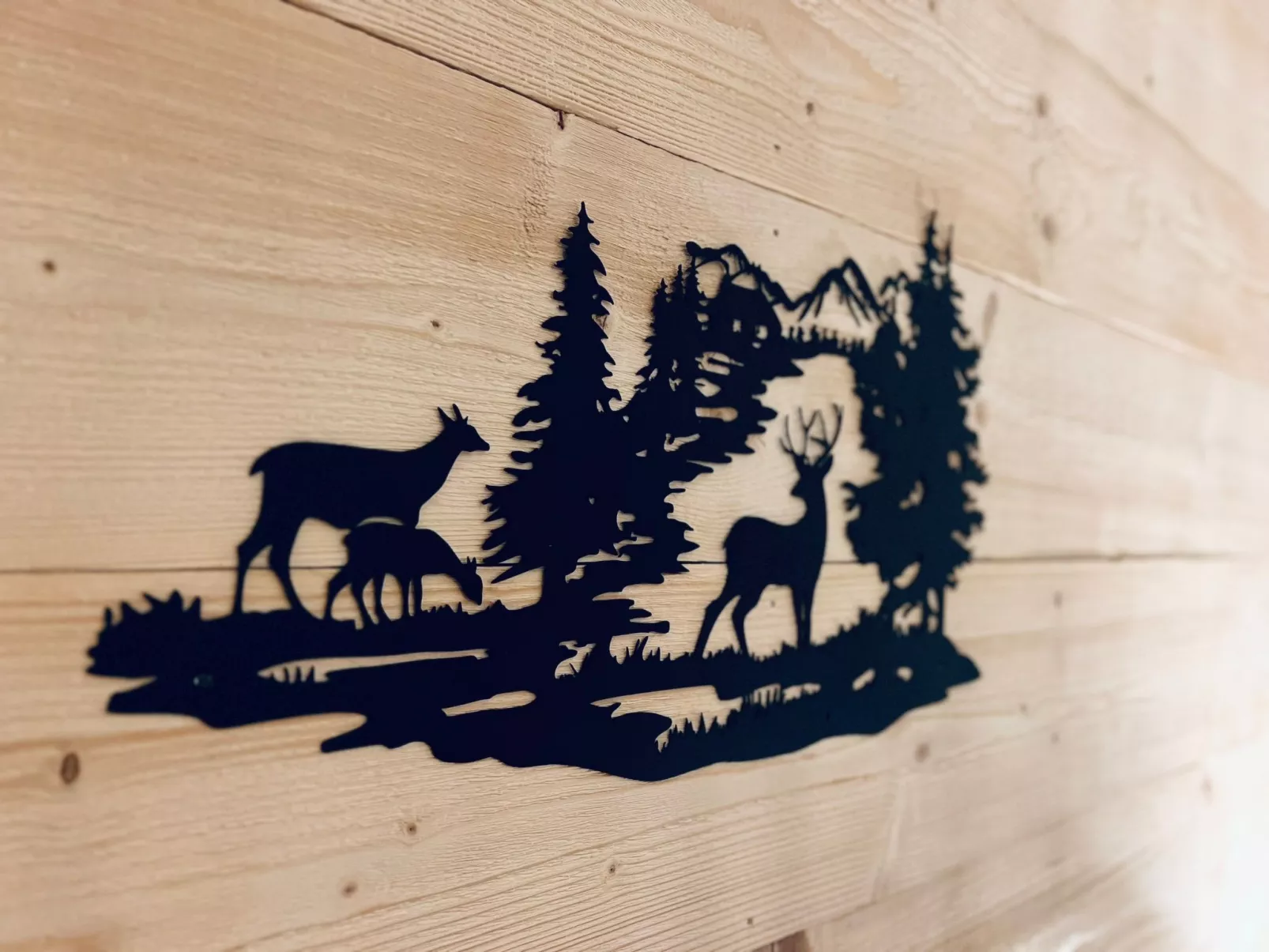 Chalet Alpenblick-Outside