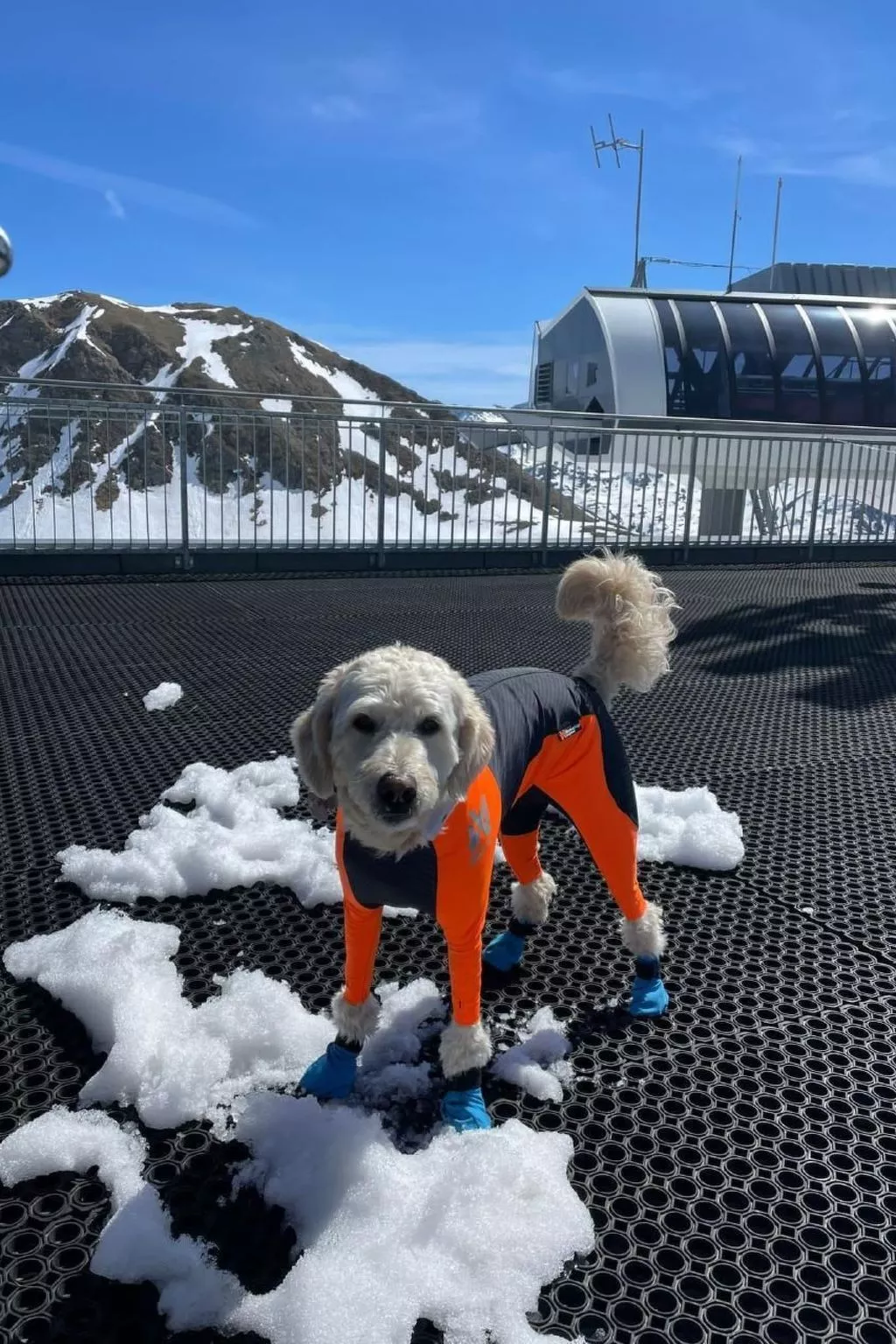 Amazing Chalet | Heidiland | Pool & Sauna-Dehors