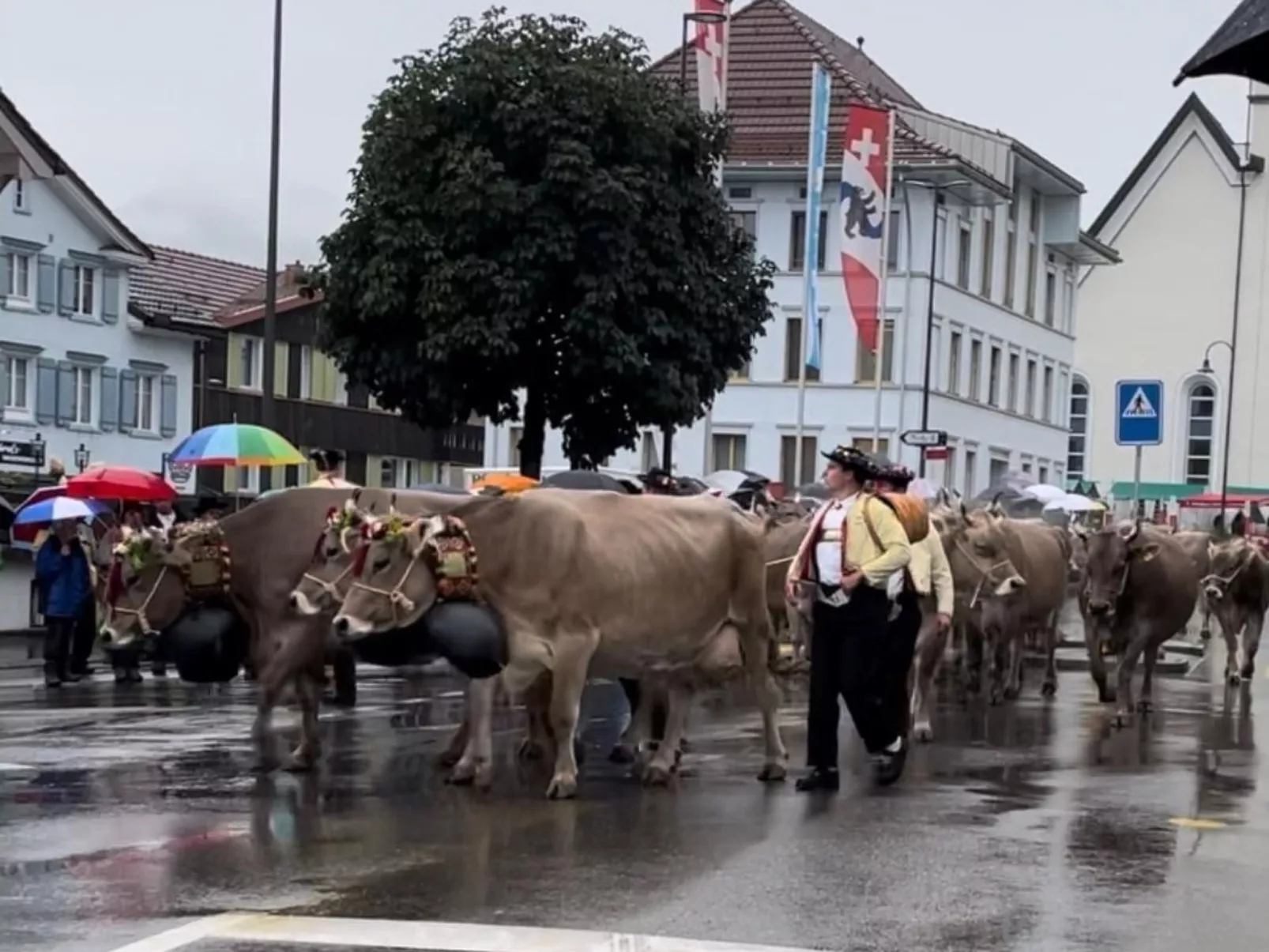 Im Dorf Urnäsch-Draußen