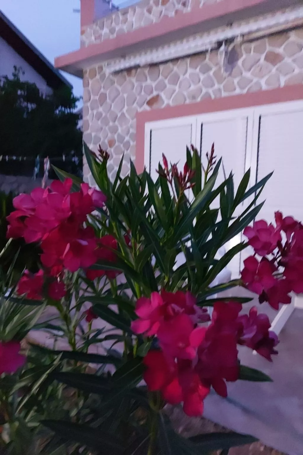 Mit Blick auf das Wasser-Outside