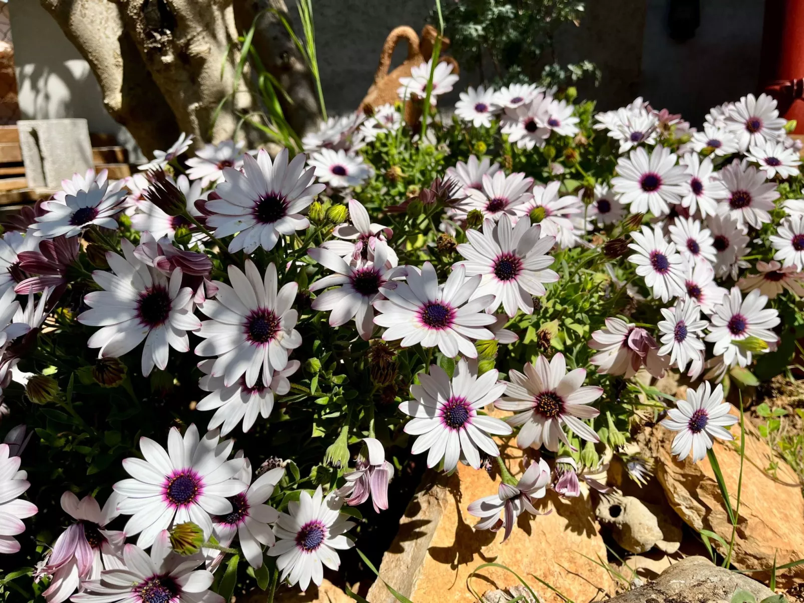 Neu erbautes Apartment mit großem Balkon-Dehors