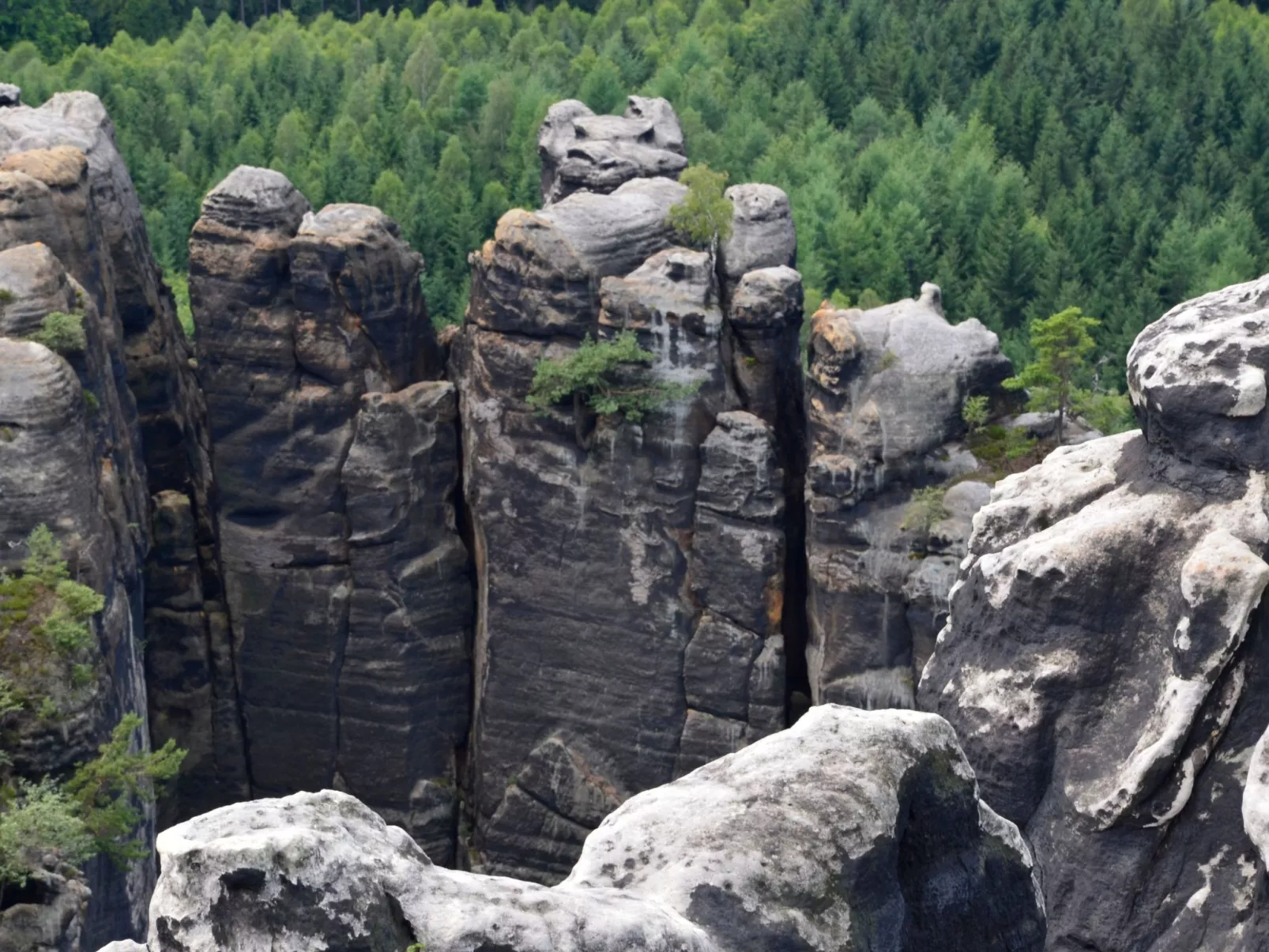 Panoramablick in Königstein-Dehors