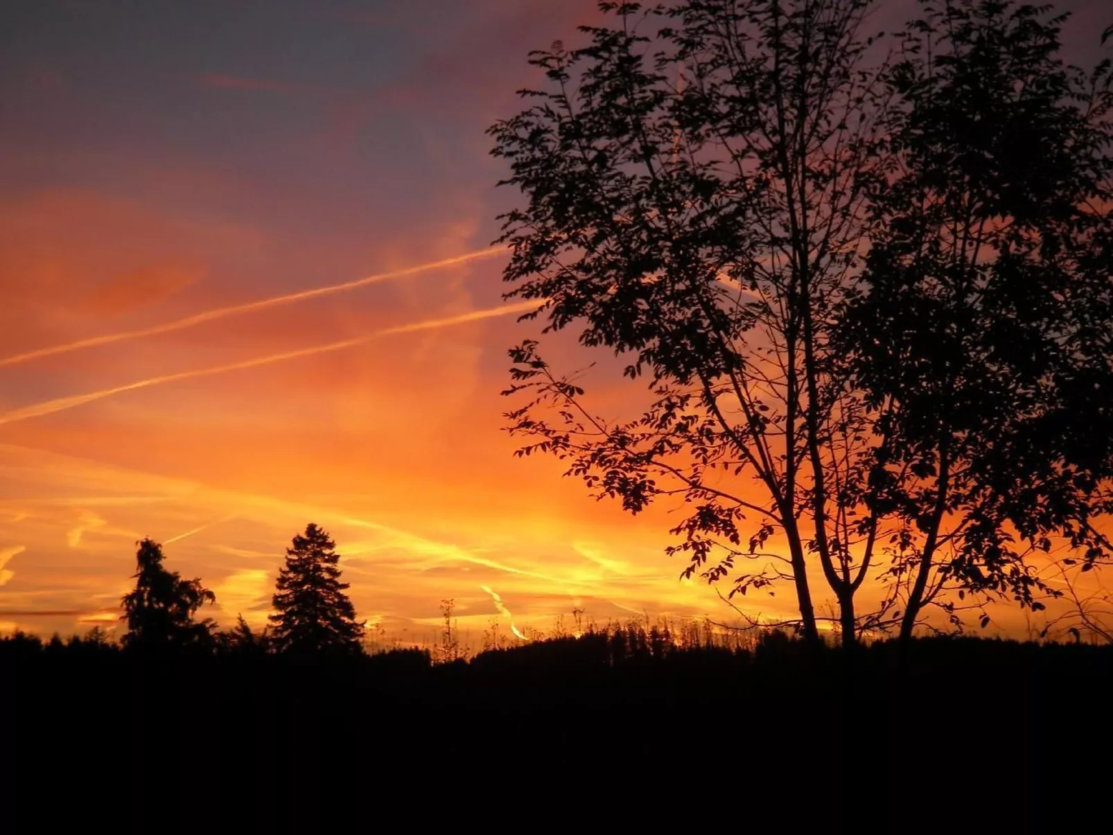 Appartement in Elbersreuth mit Garten-Outside