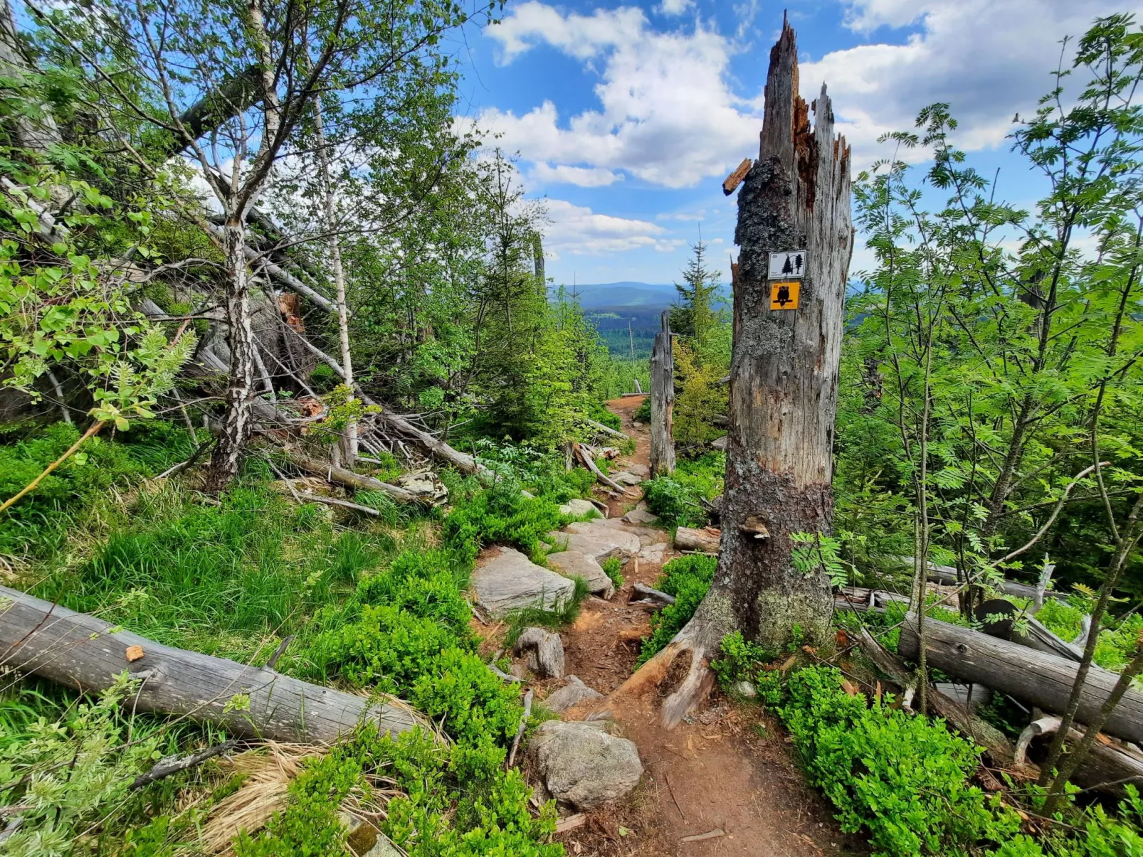 Landhaus Wildfeuer-Outside