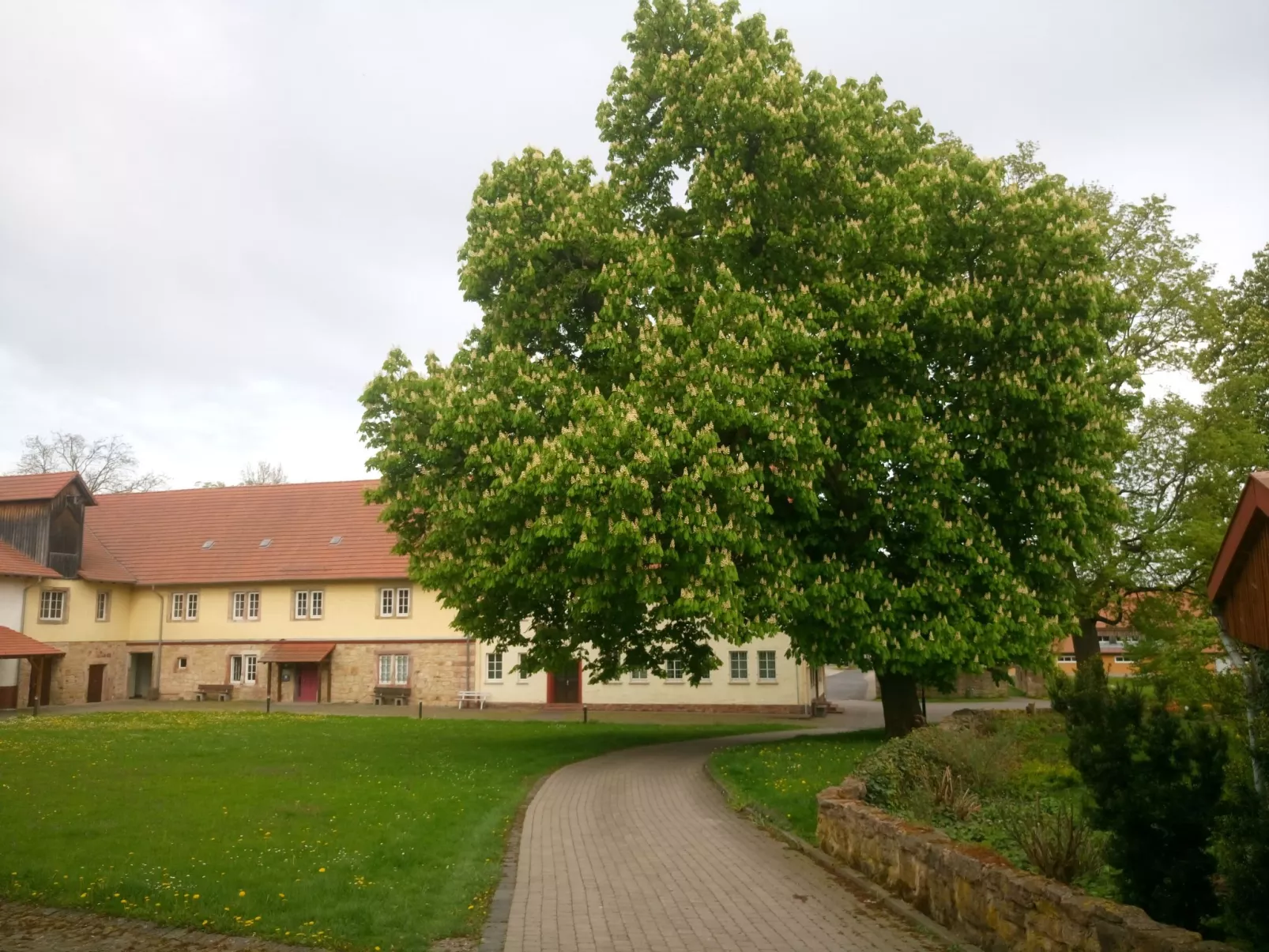 Alte Apotheke-Outside