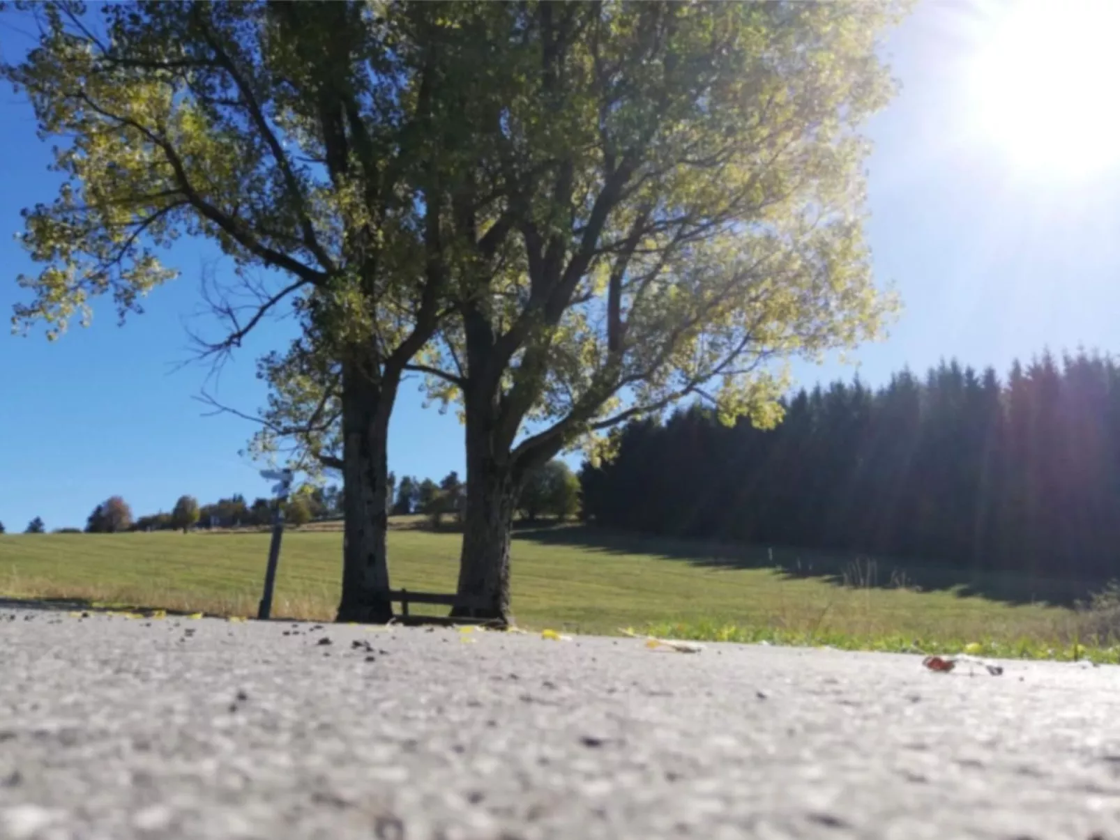 Haus Schnurbus - Outside