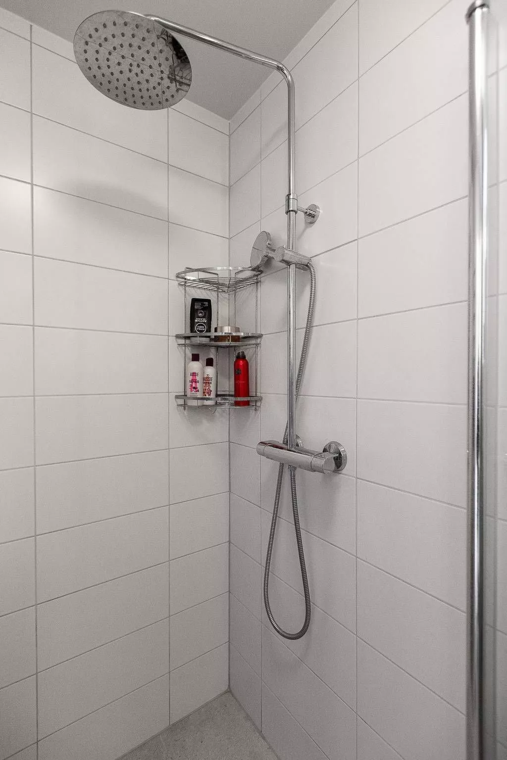 Hjorted am Seeufer-Image-tags.info