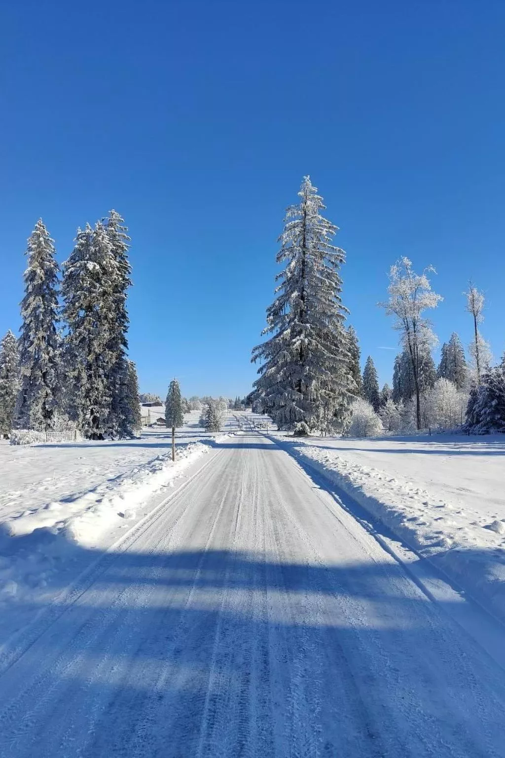 La ferme de la gaby-Draußen