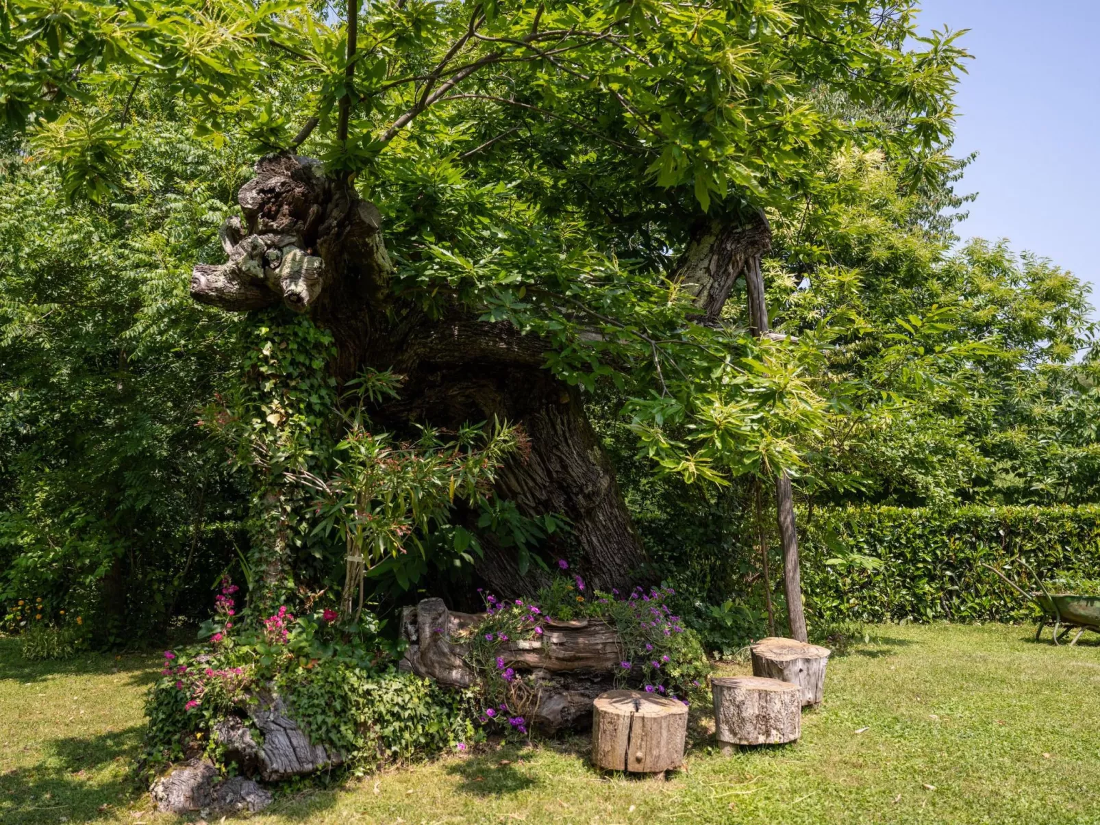 Gemütliches Ferienhaus in Ružići mit Offenem Kamin-Outside