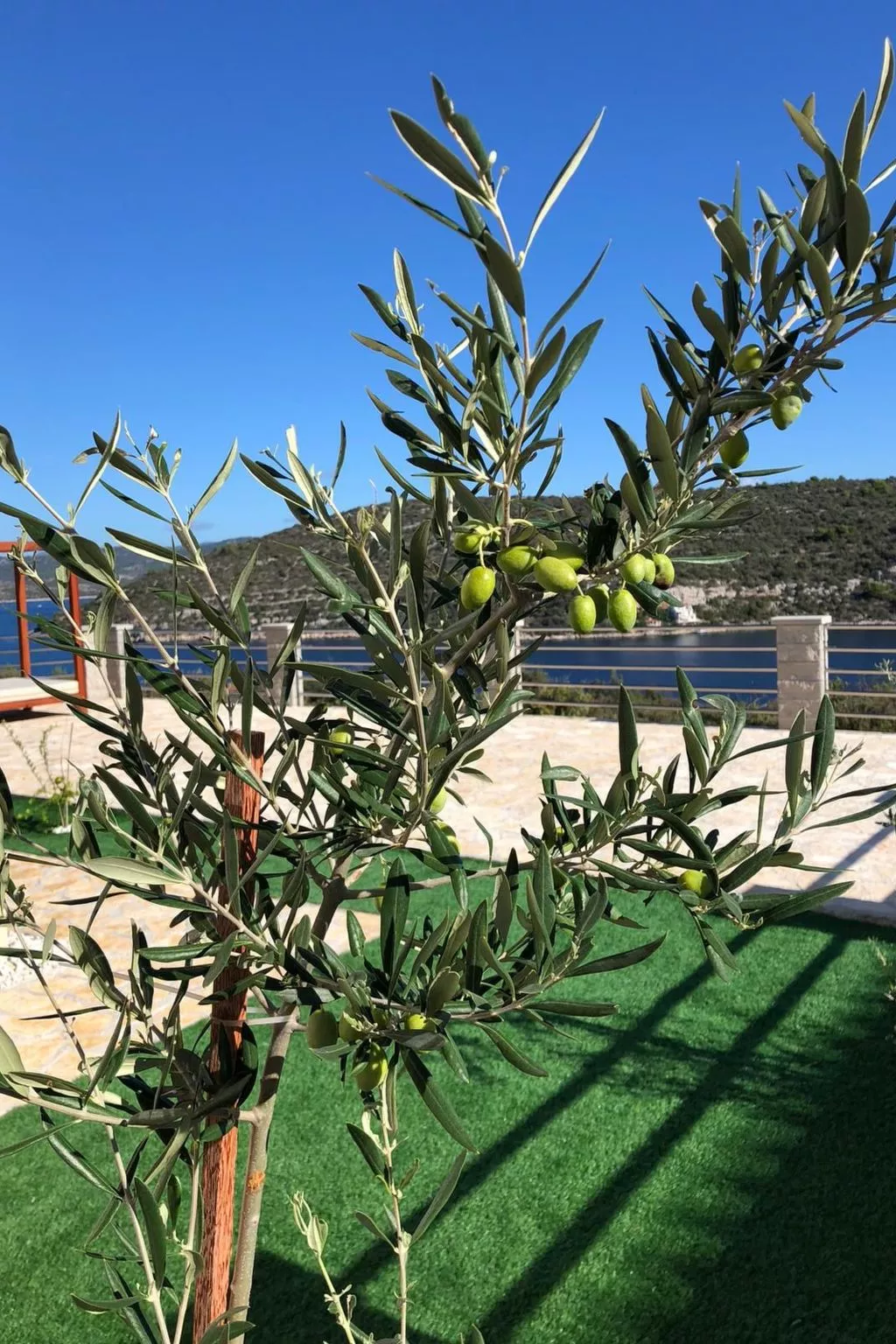 Wohnung "Olea Resort" mit Gemeinschaftspool-Outside