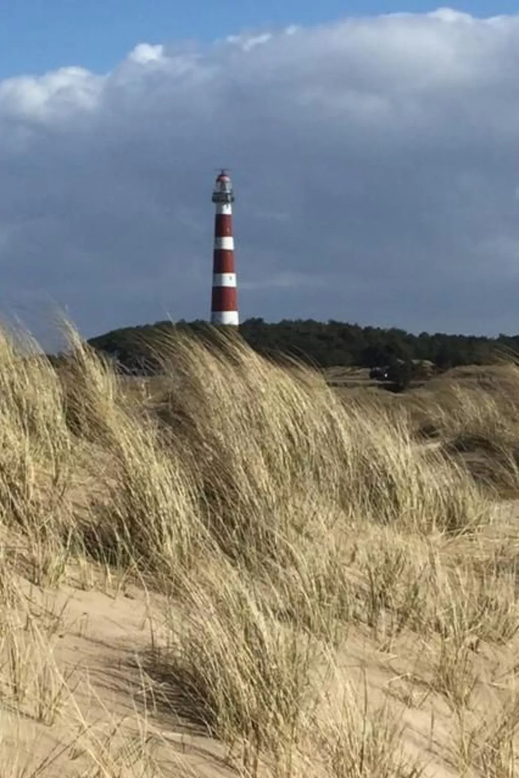 "Wad und Wal" mit Schwimmbad-Dehors