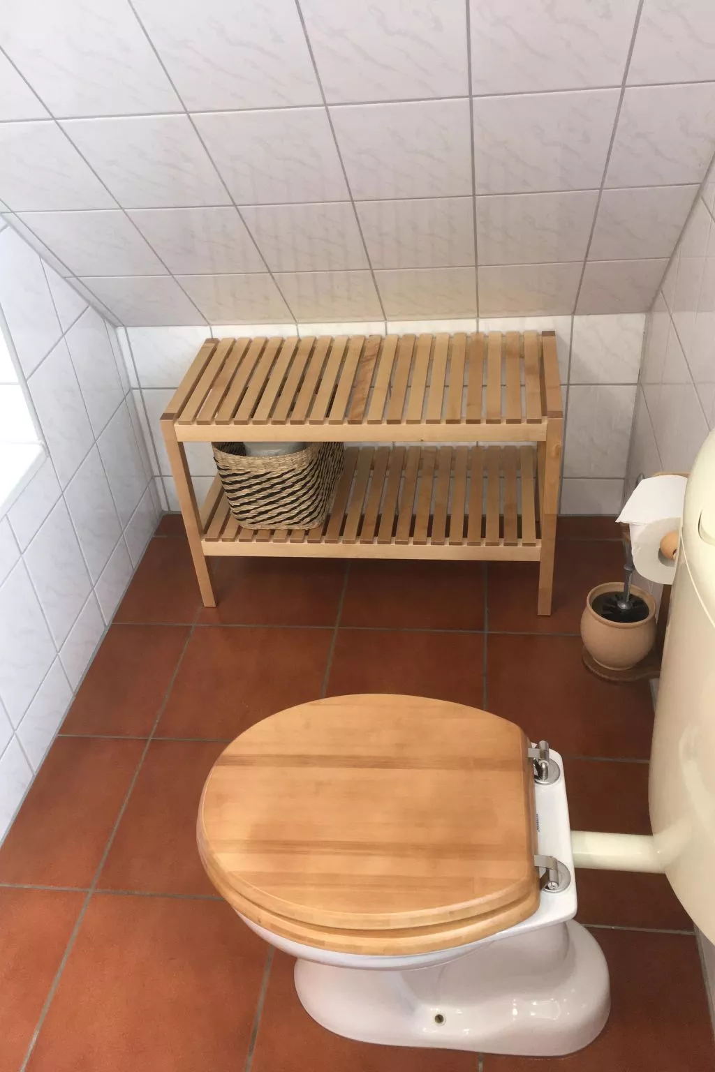 Möwe in Ummanz-Lüßvitz-Dedans