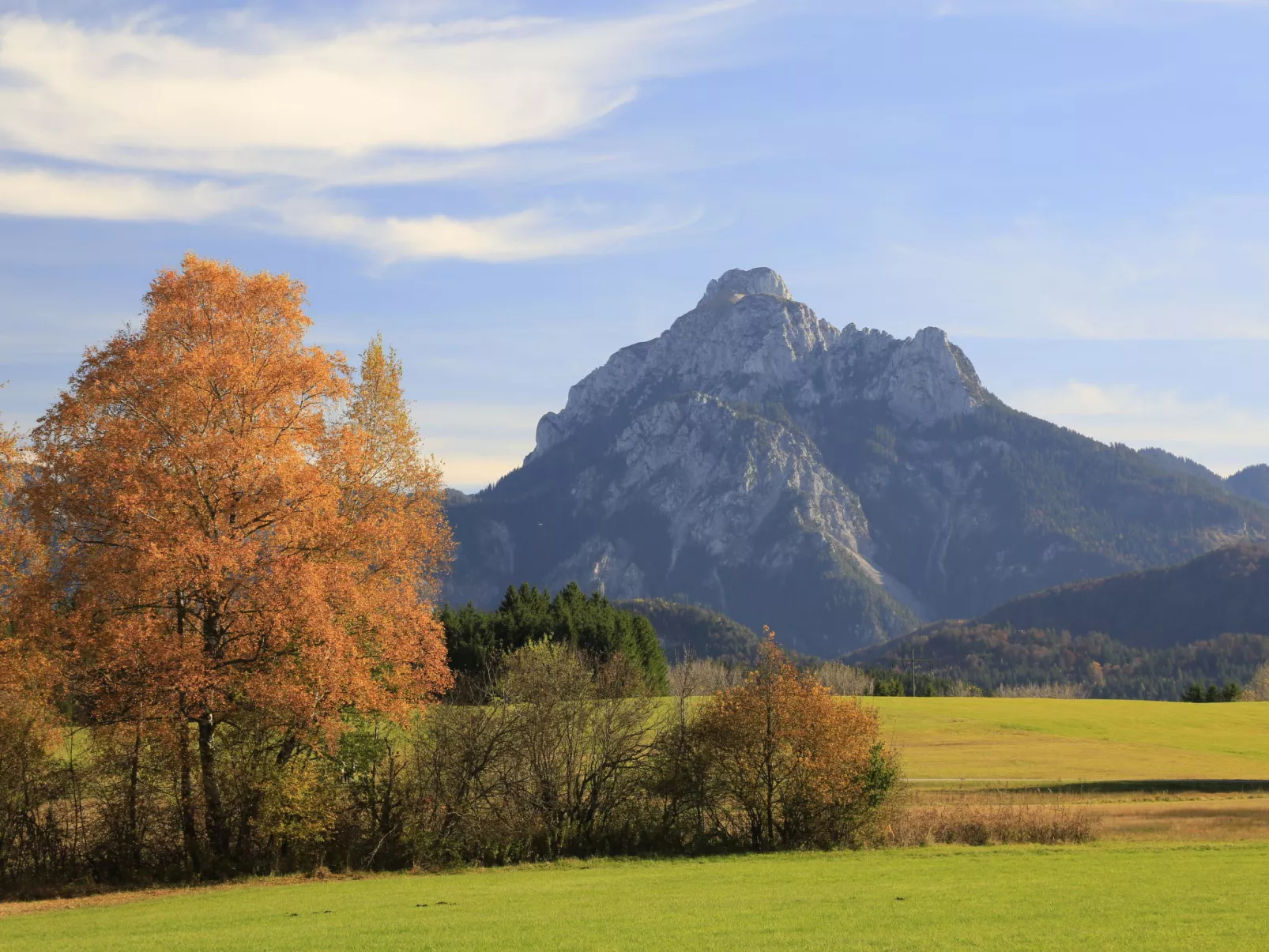 Am Rosengarten-Environnement