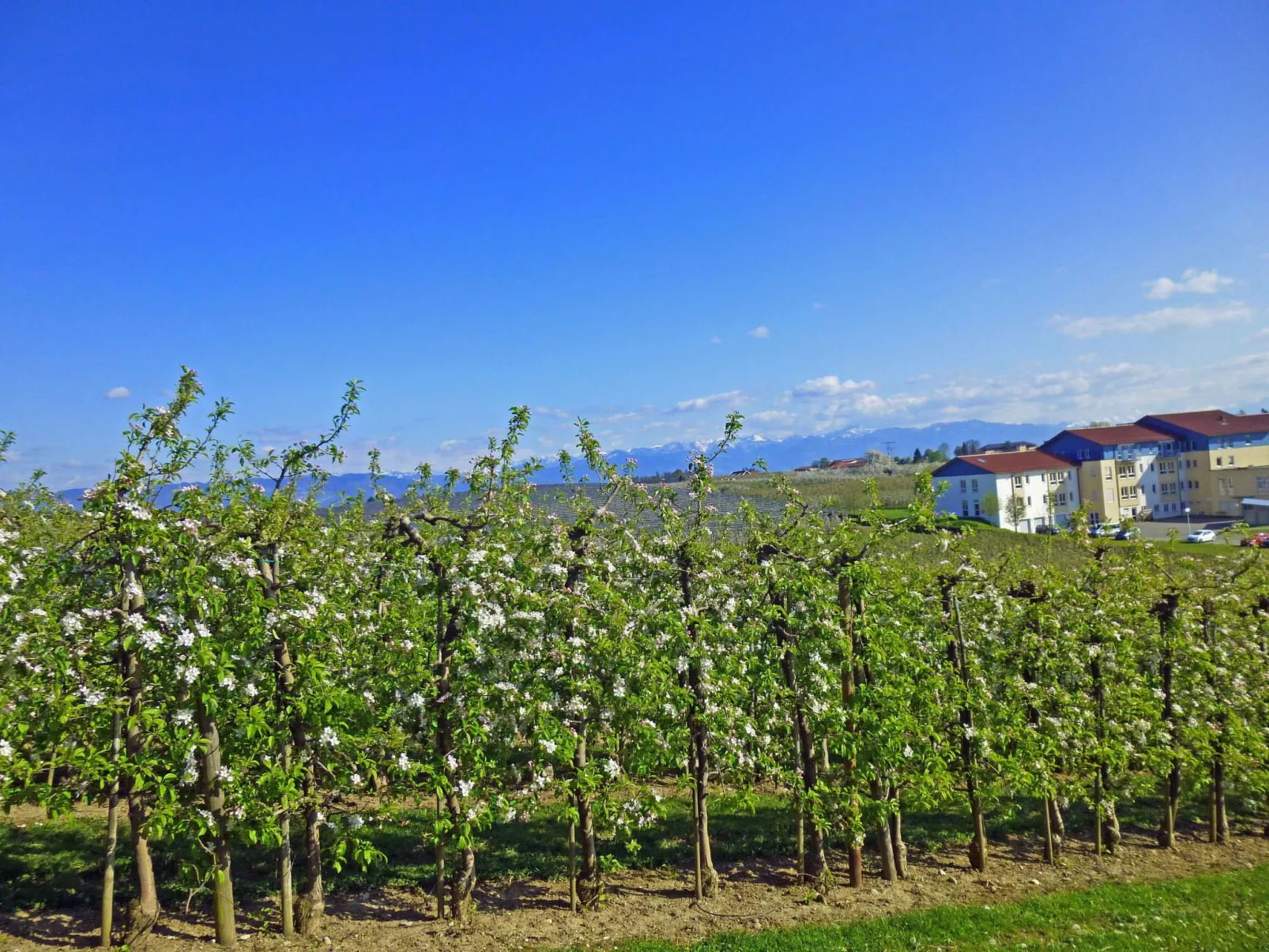 Ferien-Apartment-Draußen