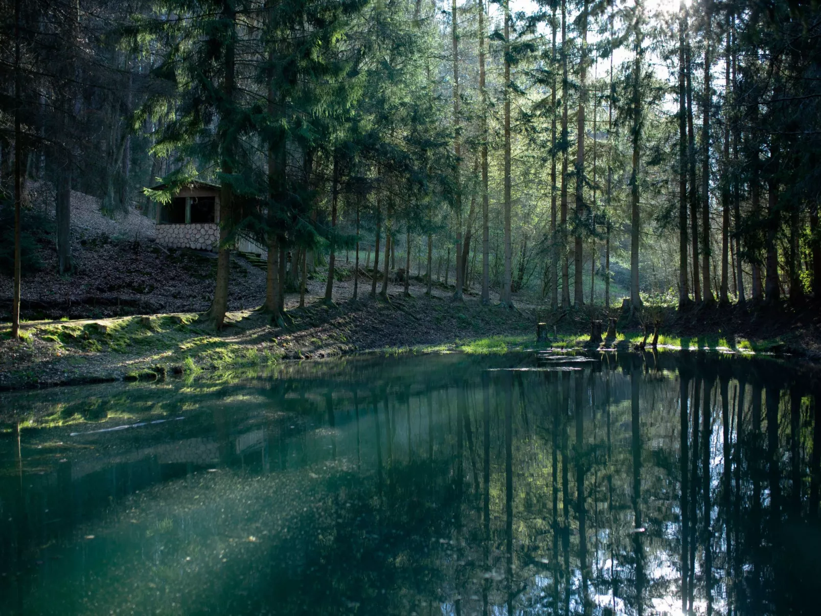 Cat'n'Boots Haus-Draußen