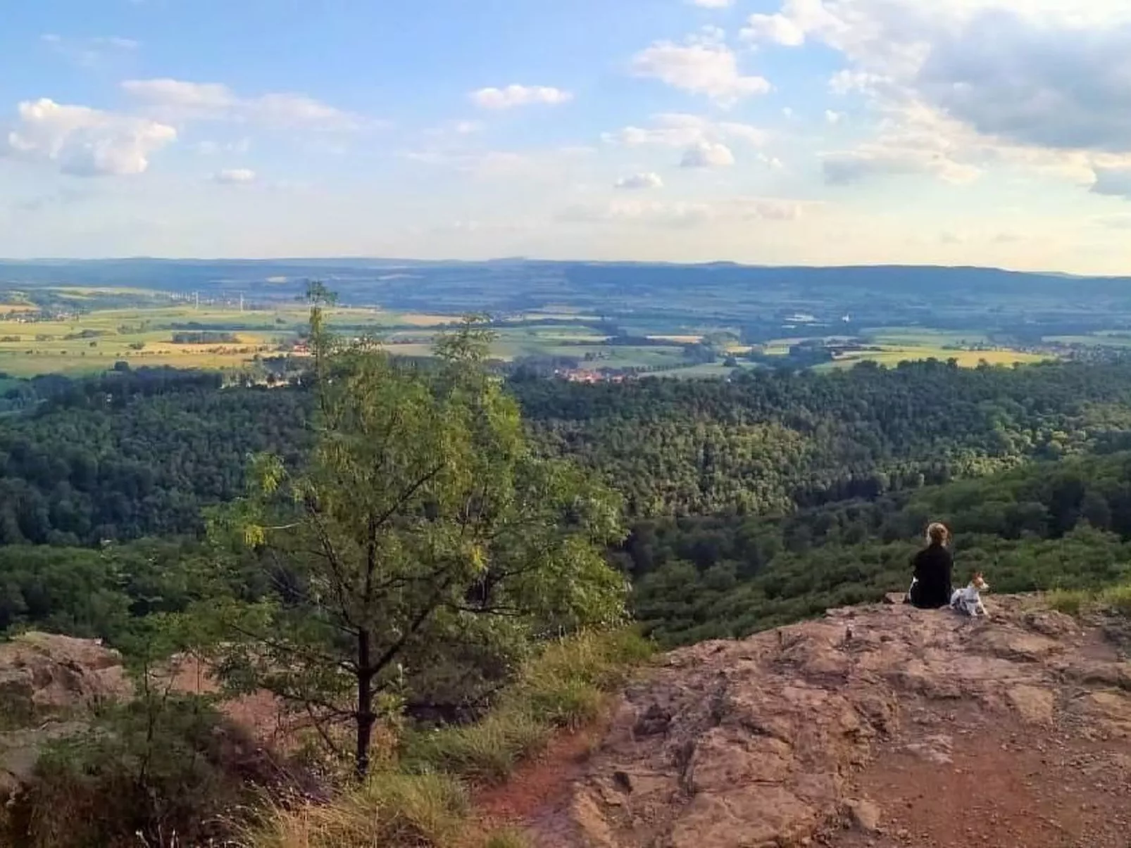 Nora-Image-tags.info