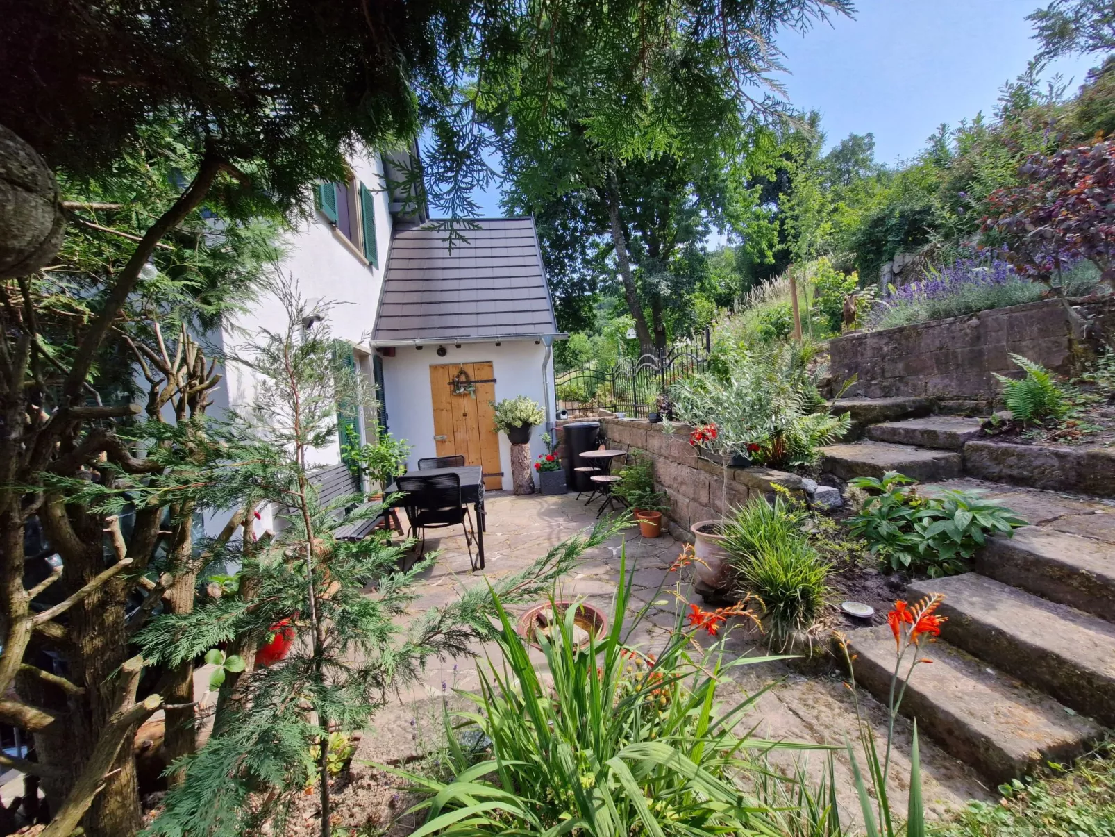 Schwarzwald Königin-Dehors