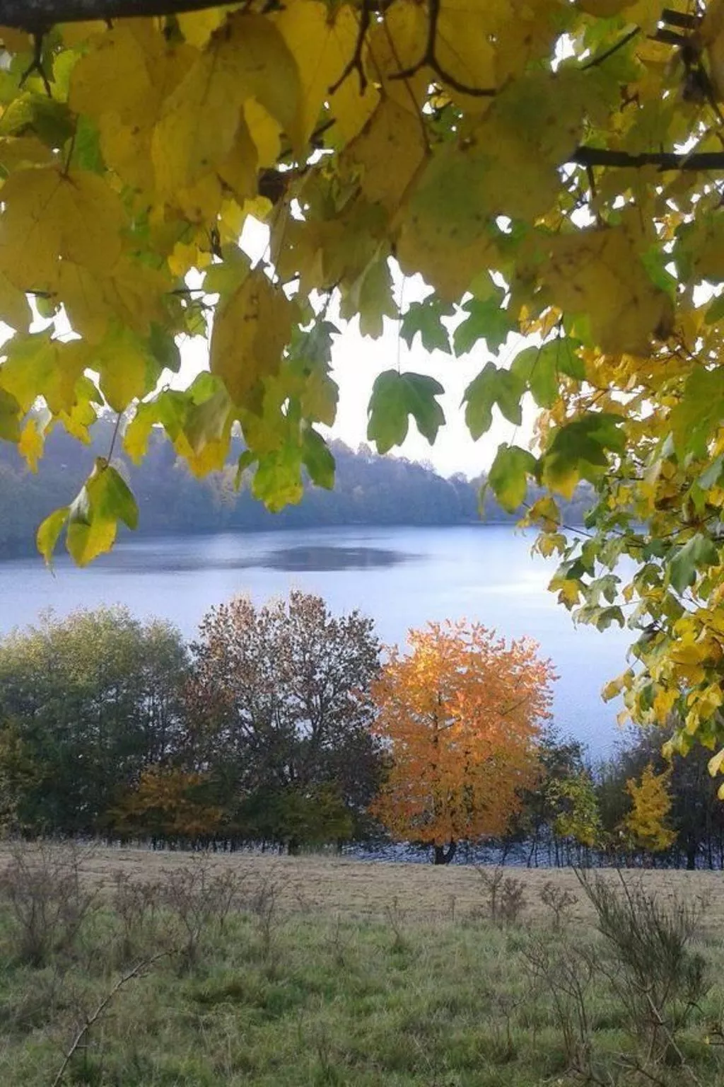 Landhaus Erika-Dehors