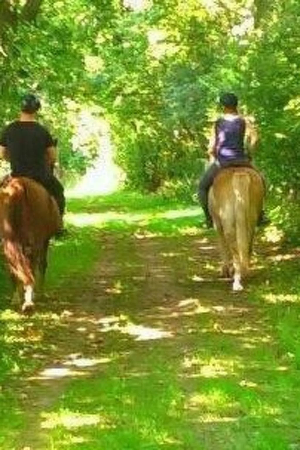 Över de Loh-Image-tags.info