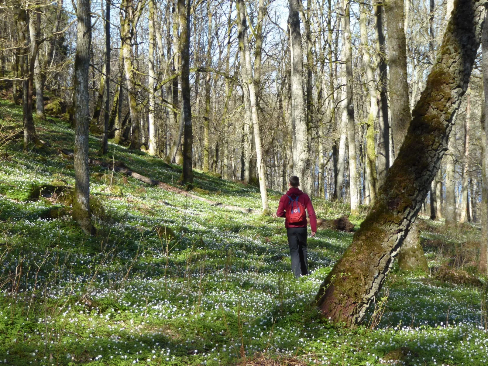 Paradisvilla-Outside