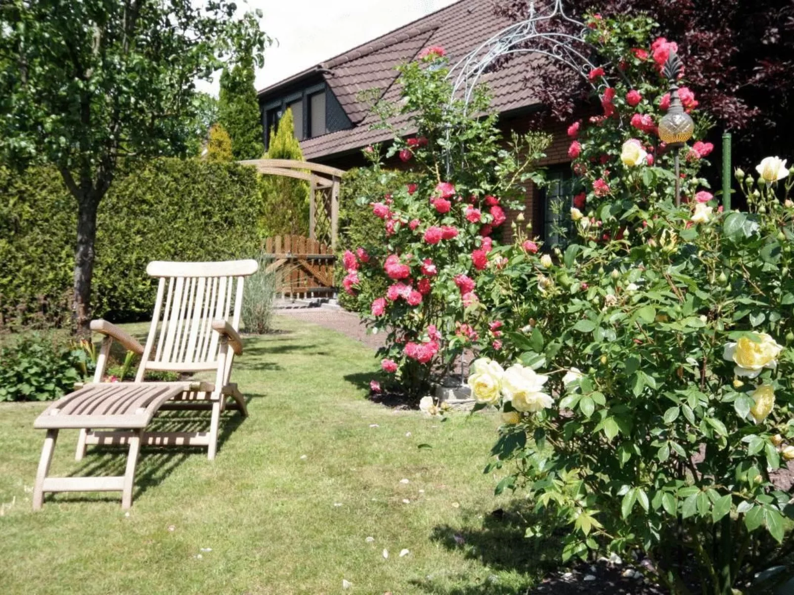 Borkum-Image-tags.info