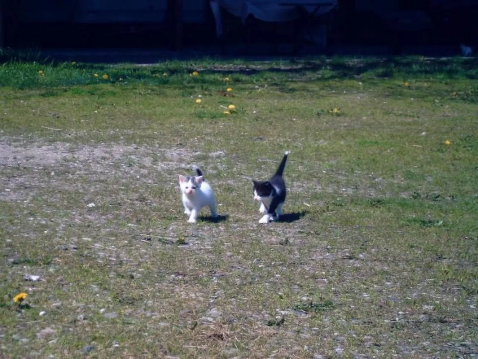 Mit Meerblick - direkt an der Ostsee-Image-tags.info