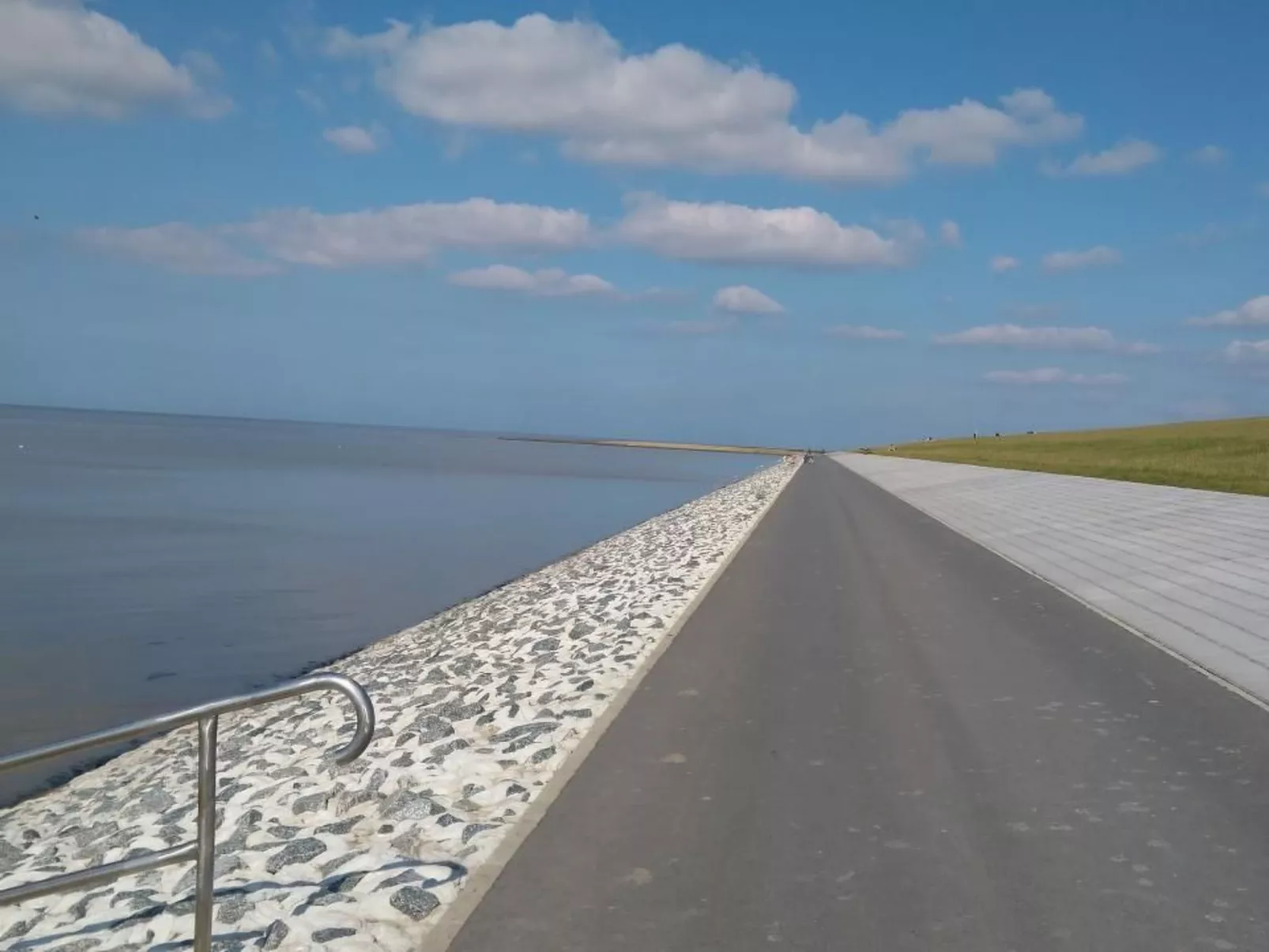 Seepferdchen-Outside