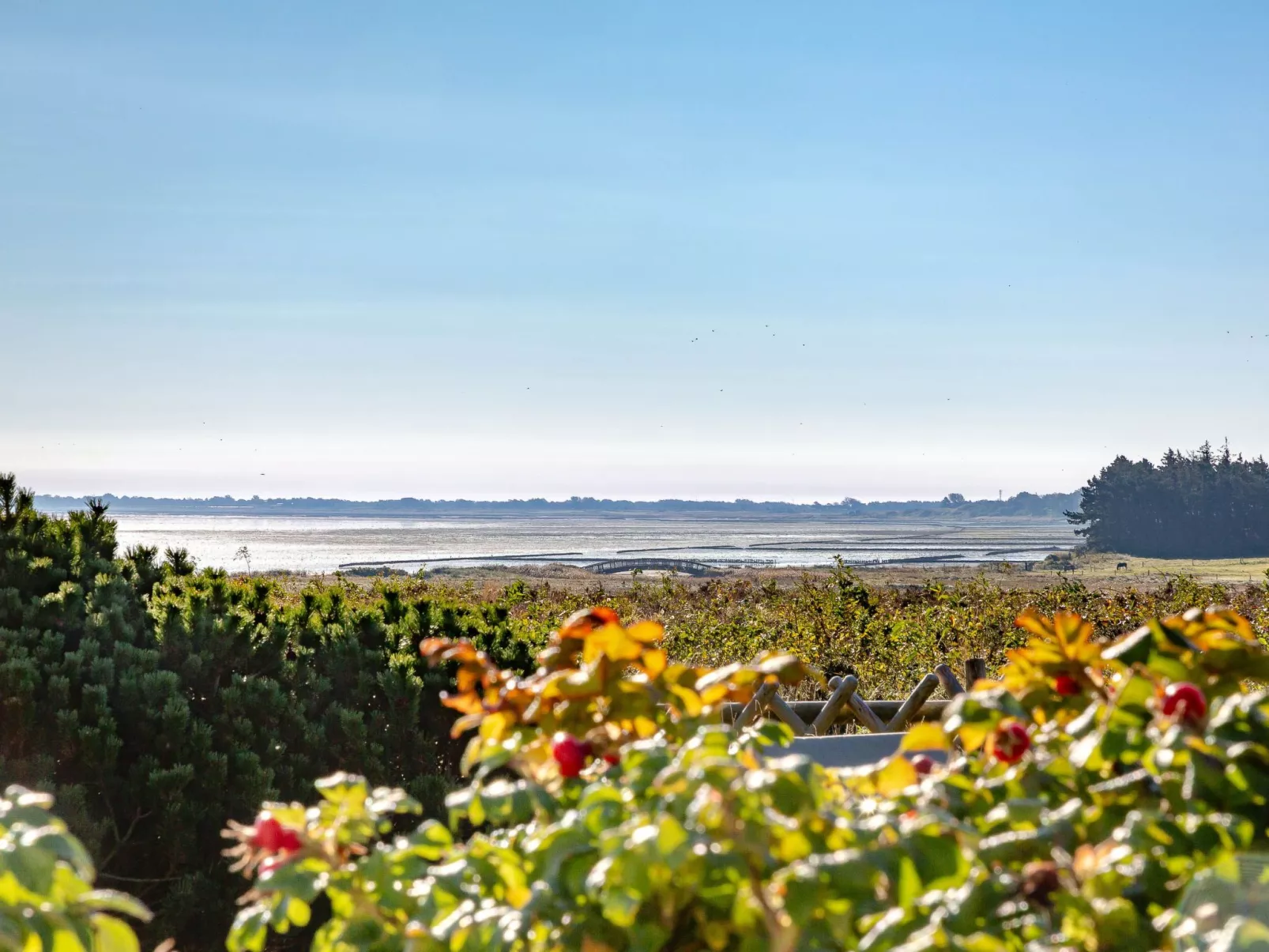 Sönshörn - S8M - in Munkmarsch-Outside