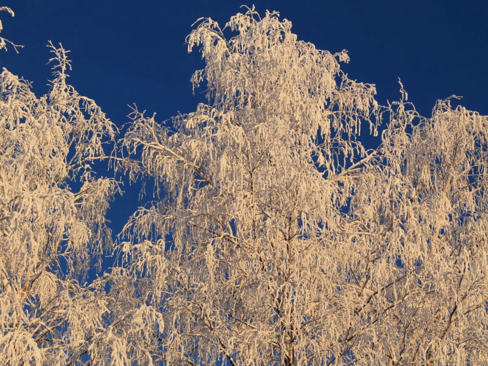 Anwesen mit eigenem Garten und Grill-Outside
